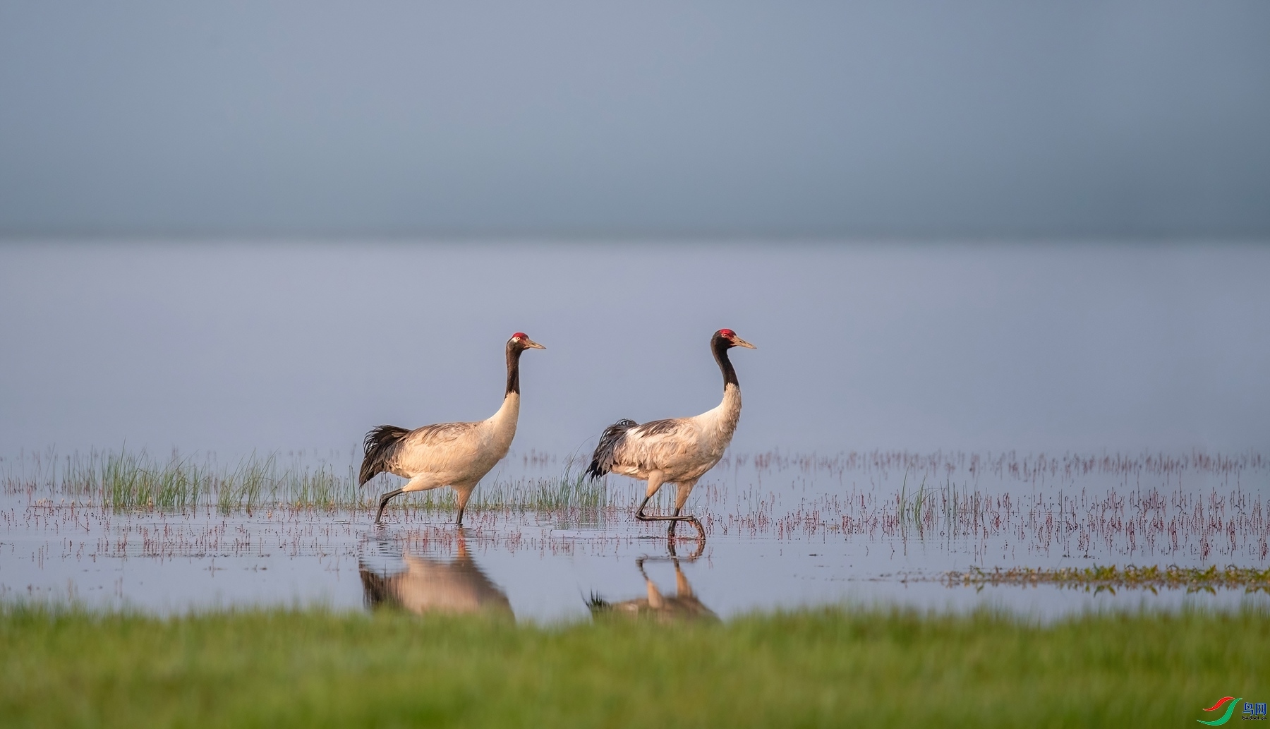 10.11����ͬ��yy��ʦ��Ʒ   �ھ���.������� ��ף���ٻ��Ա������.jpg