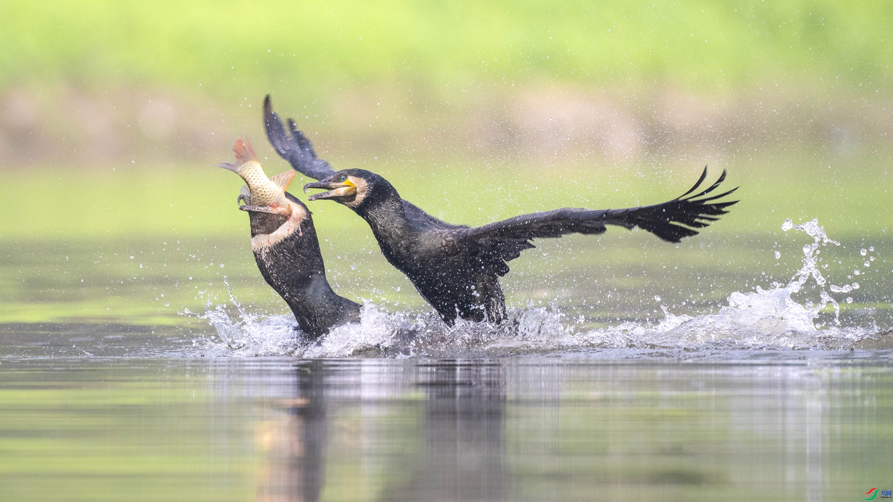 10.13ľ��ˮ����ʦ��Ʒ   ����һ�� ��ף���ٻ���Ӱʦ������.jpg