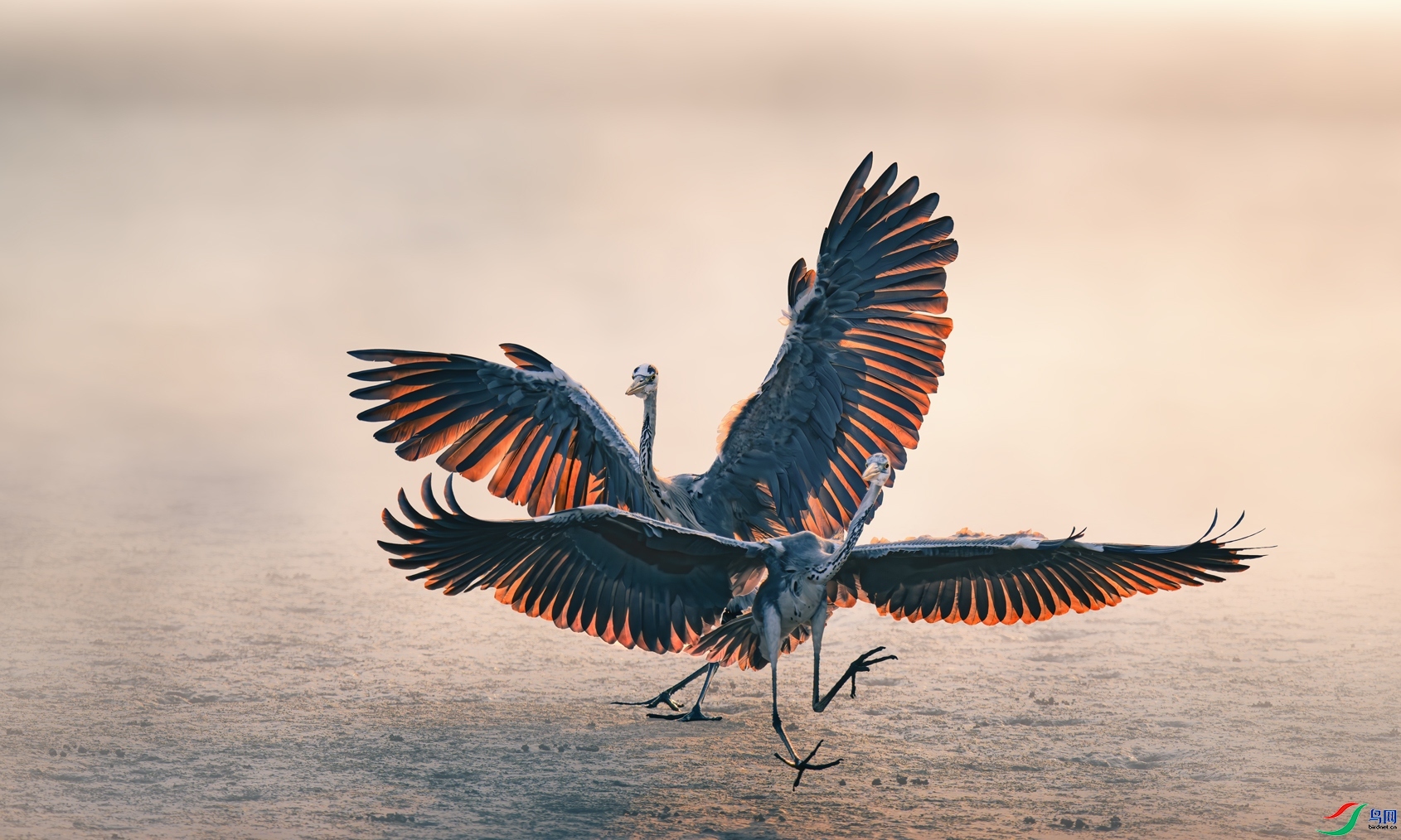 10.14����һɫYU��ʦ��Ʒ   �ֽ�֮�� ��ף���ٻ��Ա������.jpg