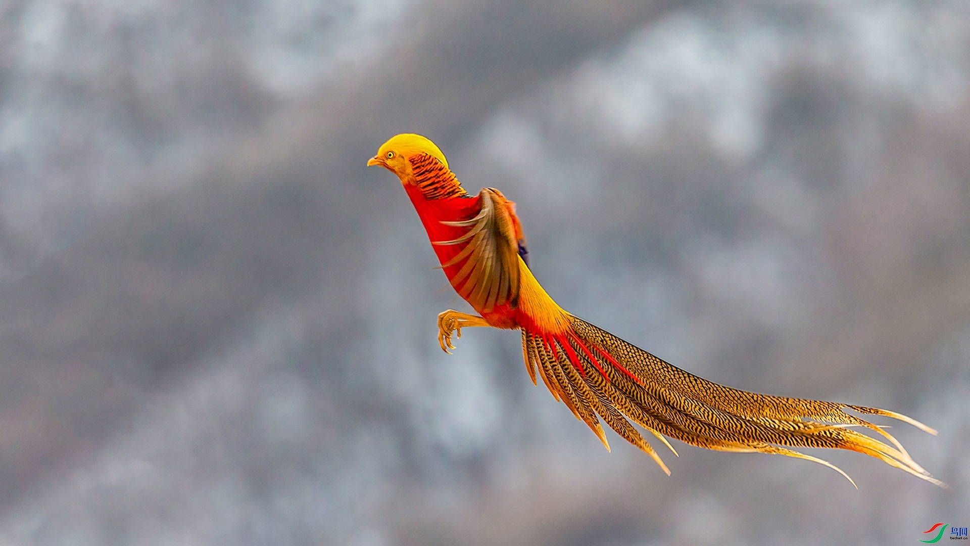 10.14�ƽ�Ҷ��ʦ��Ʒ   �츹��������Ʈ�� ��ף���ٻ����Ѿ�����.jpg