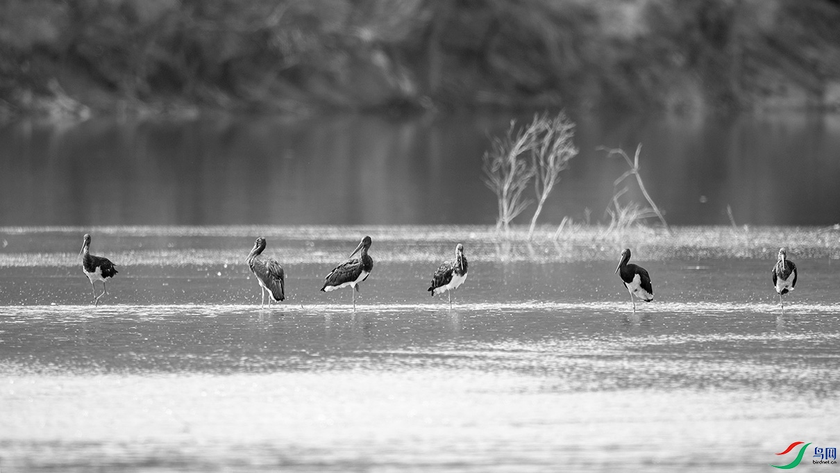 DSC_63930.jpg