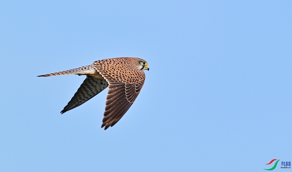 DSC_8155.JPG