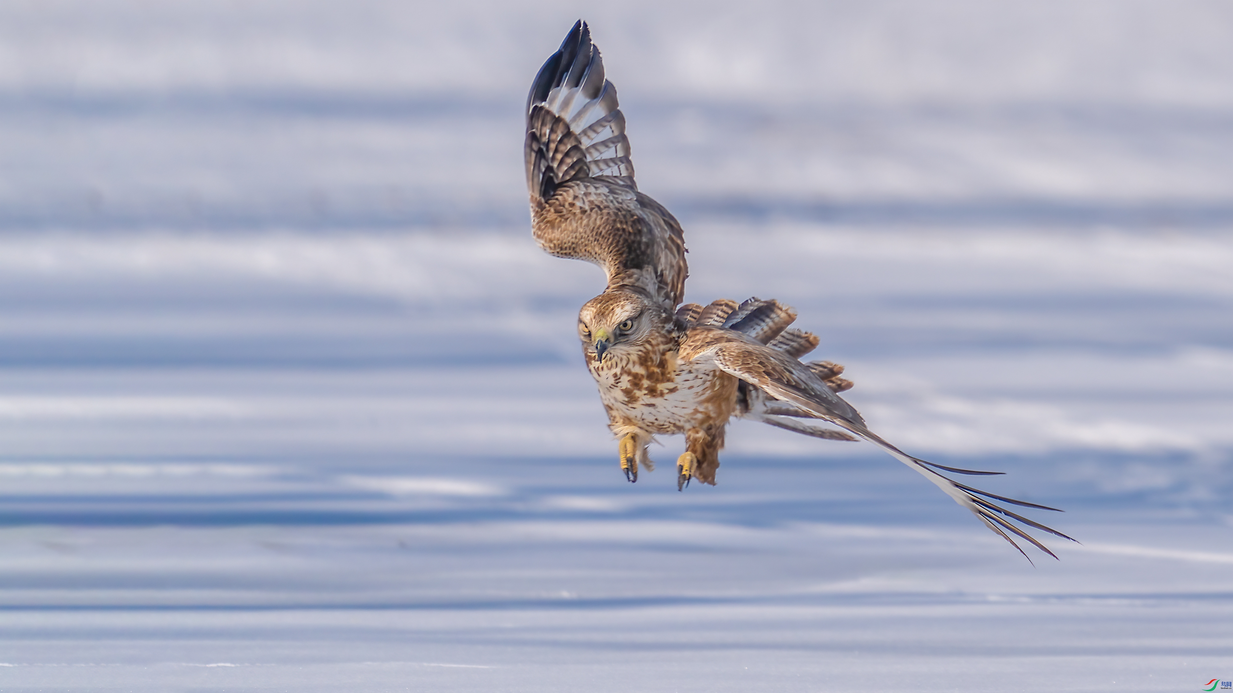 DSC09902 ����.jpg