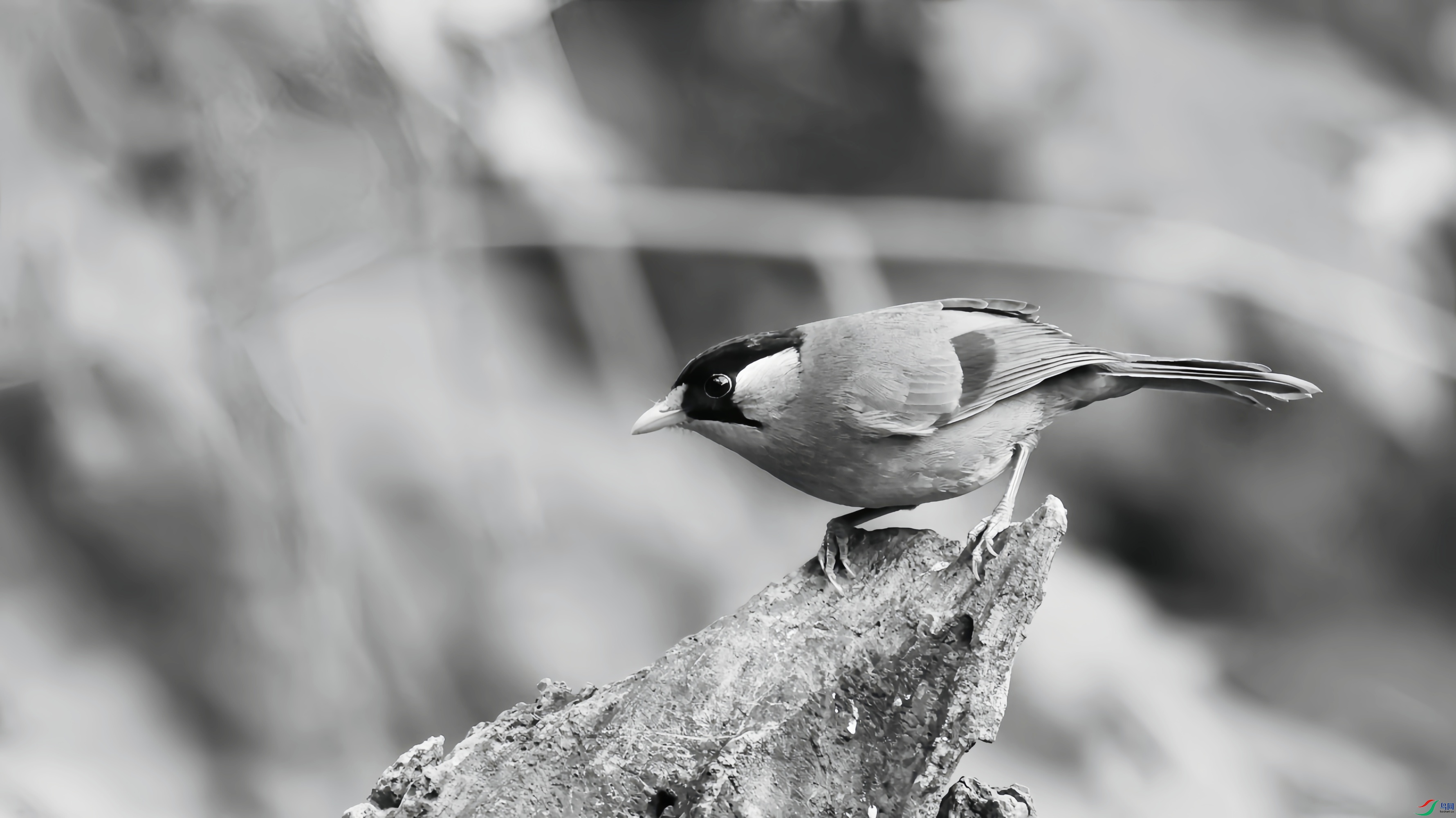 2F6A0030_���� (2)_����.jpg