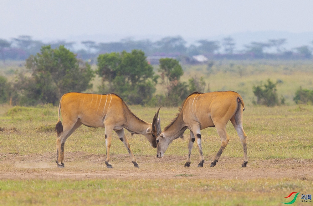 ��ǰ��� (3).jpg