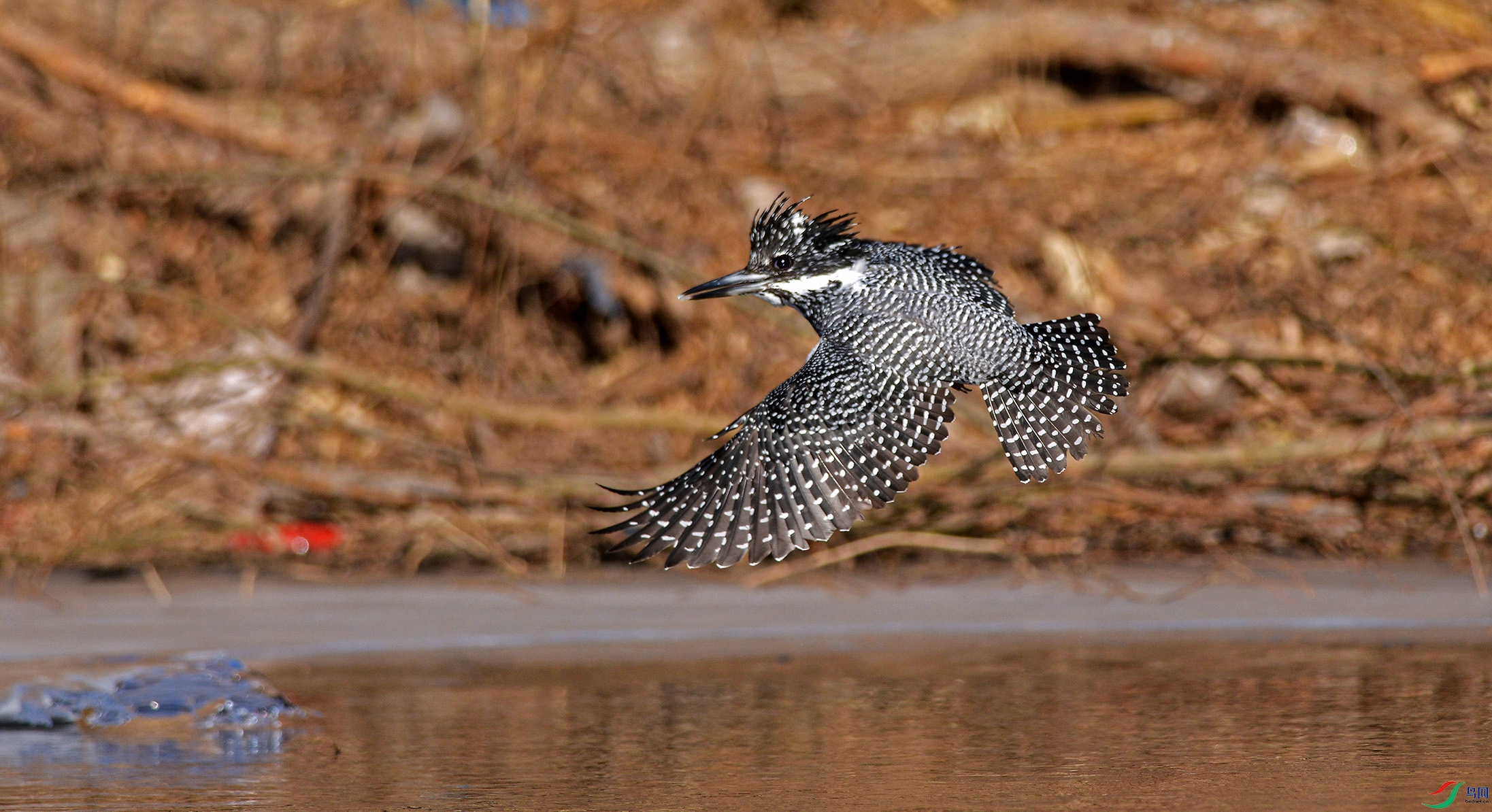 DSC_5029.JPG