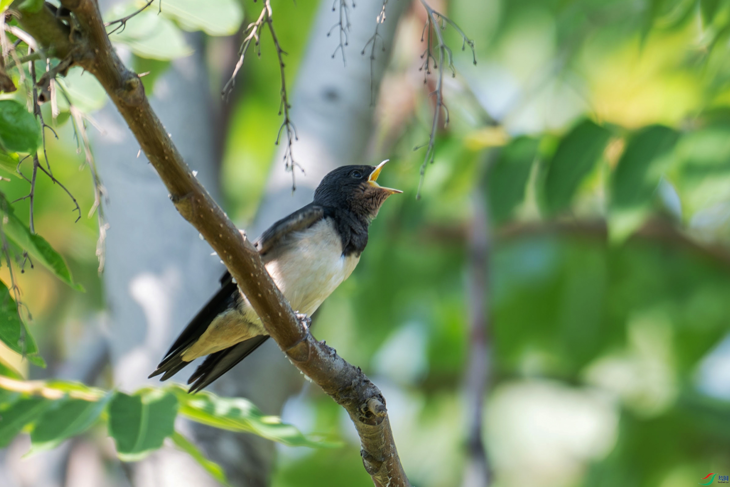 DSC_3364.jpg