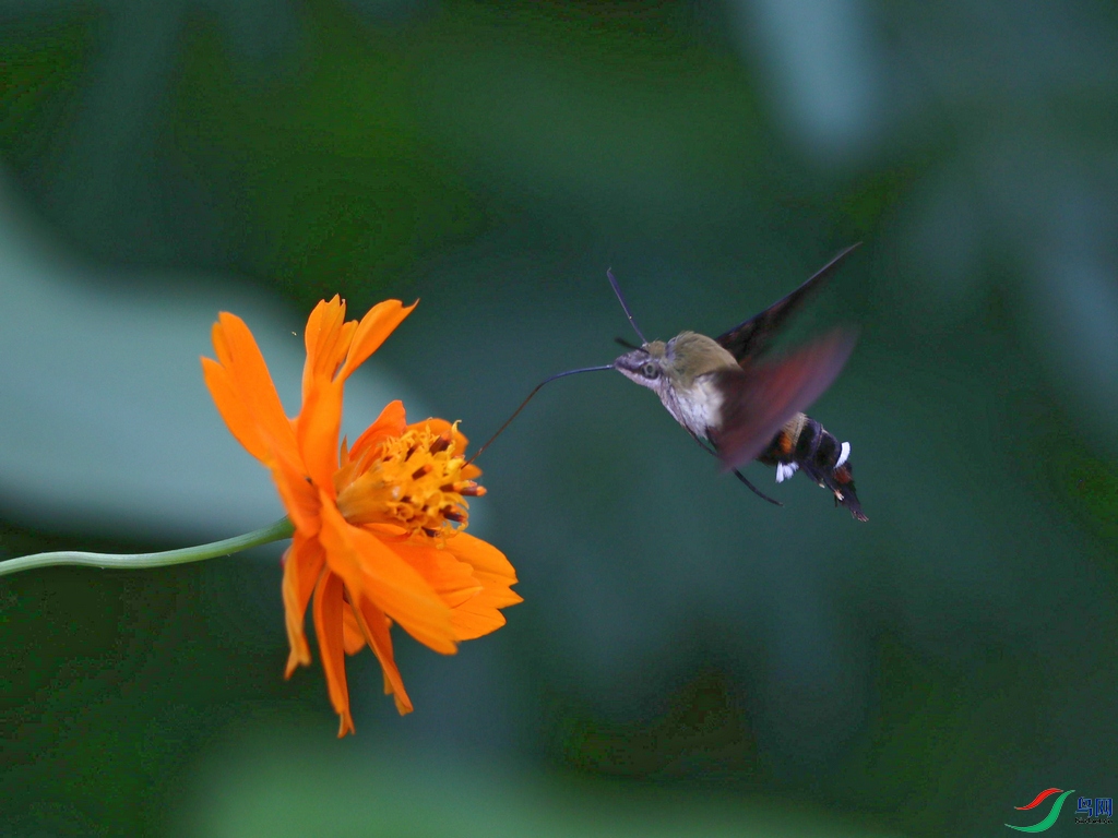 DSC20241016063.jpg