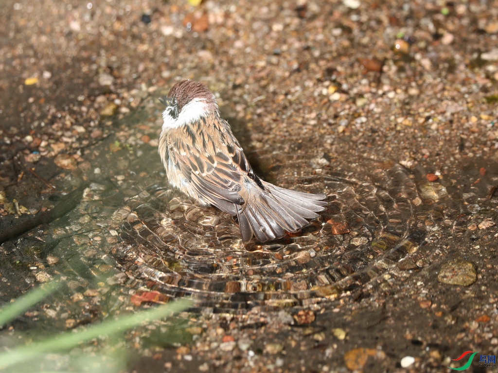 DSC20241017074.jpg