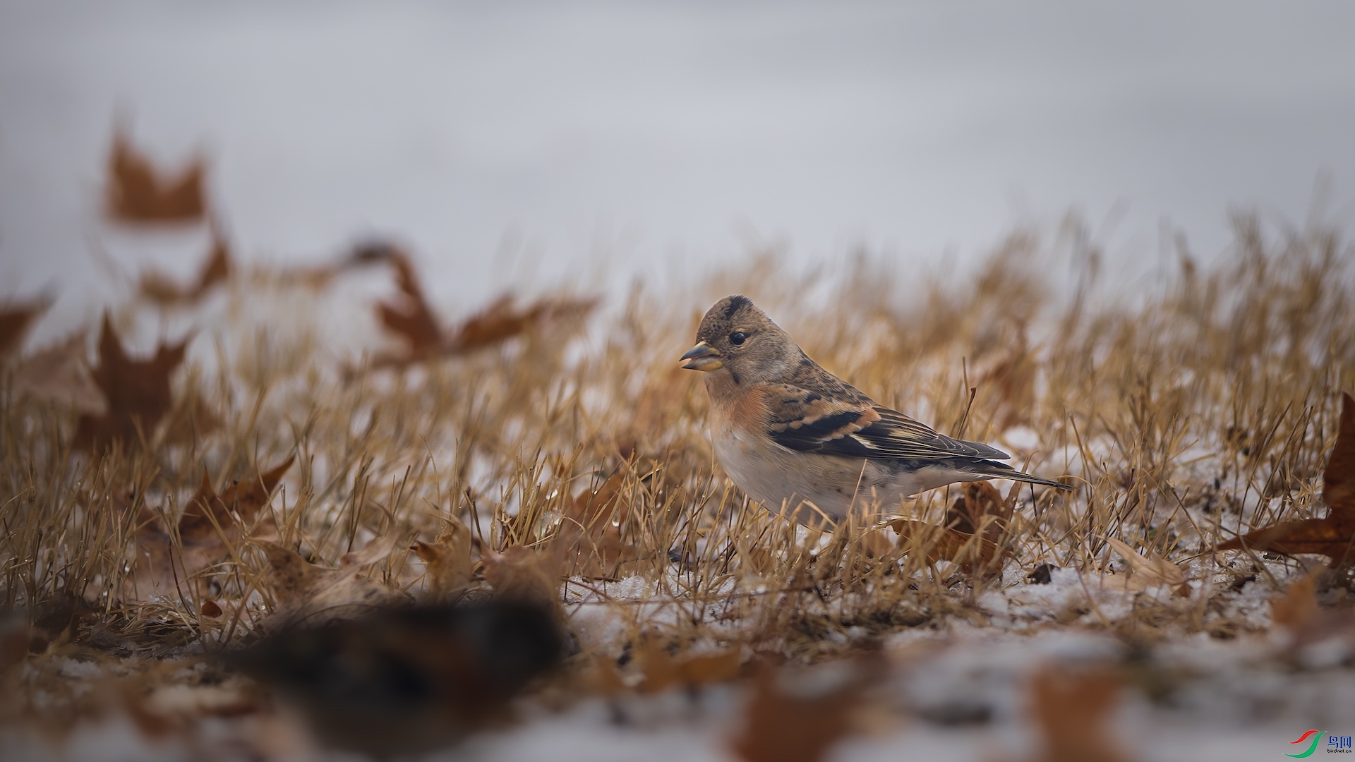 1_DSC0008-����ǿ-NR ����.jpeg