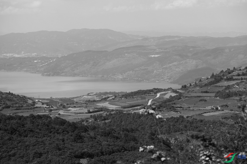 DSCF2674.1.jpg
