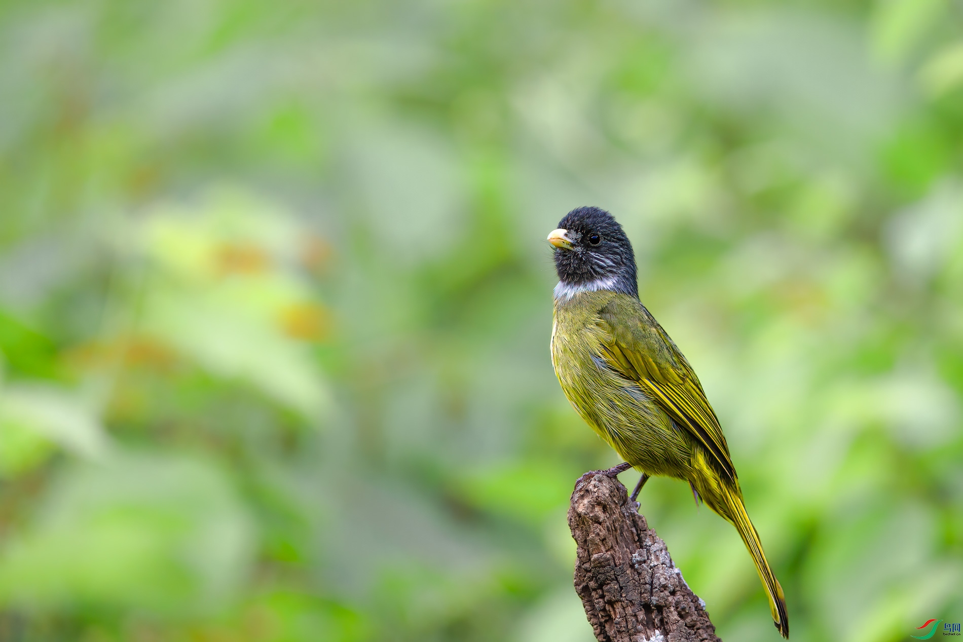 AQ4P1819-1.jpg