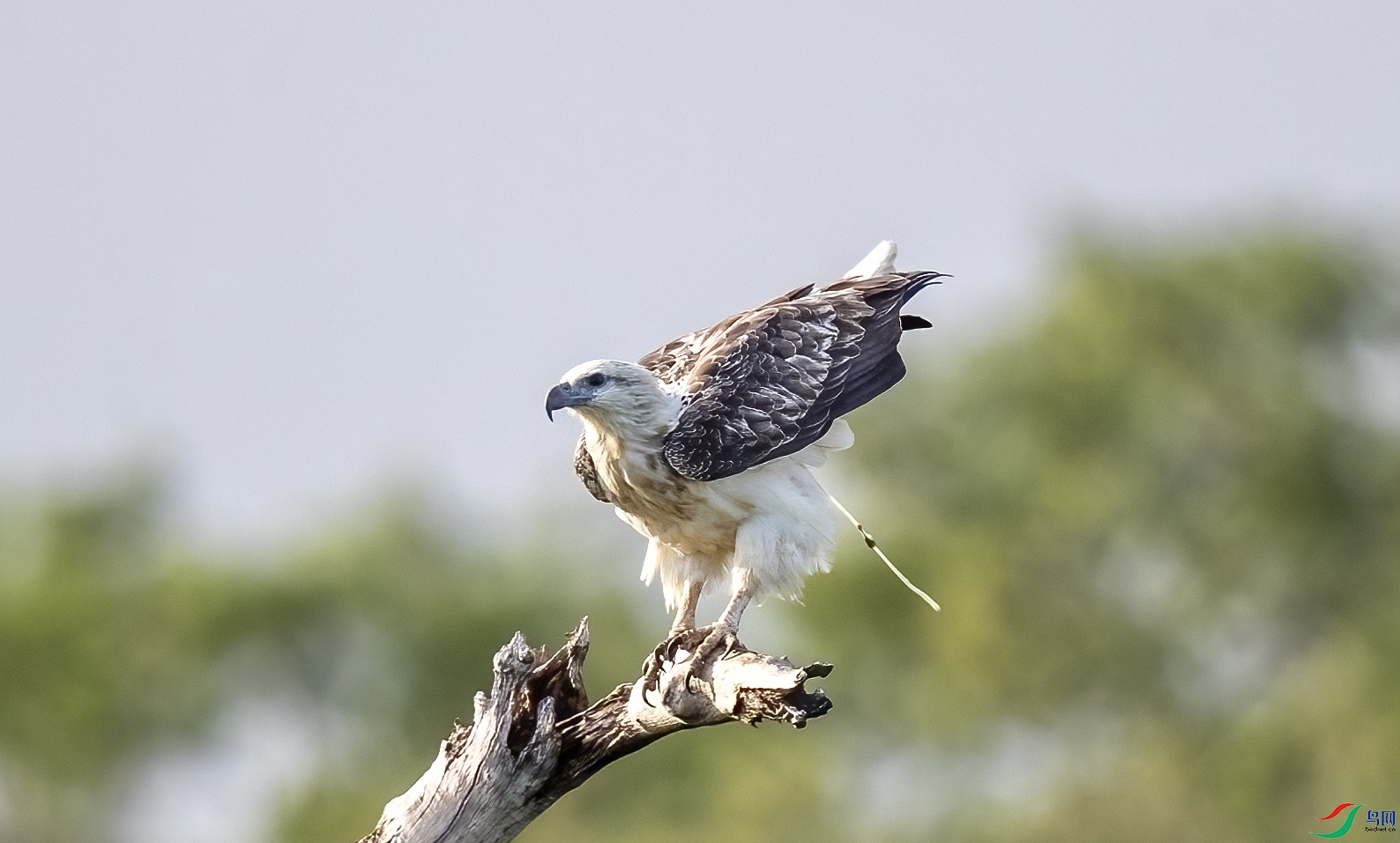 AC3I3186 ����.jpg