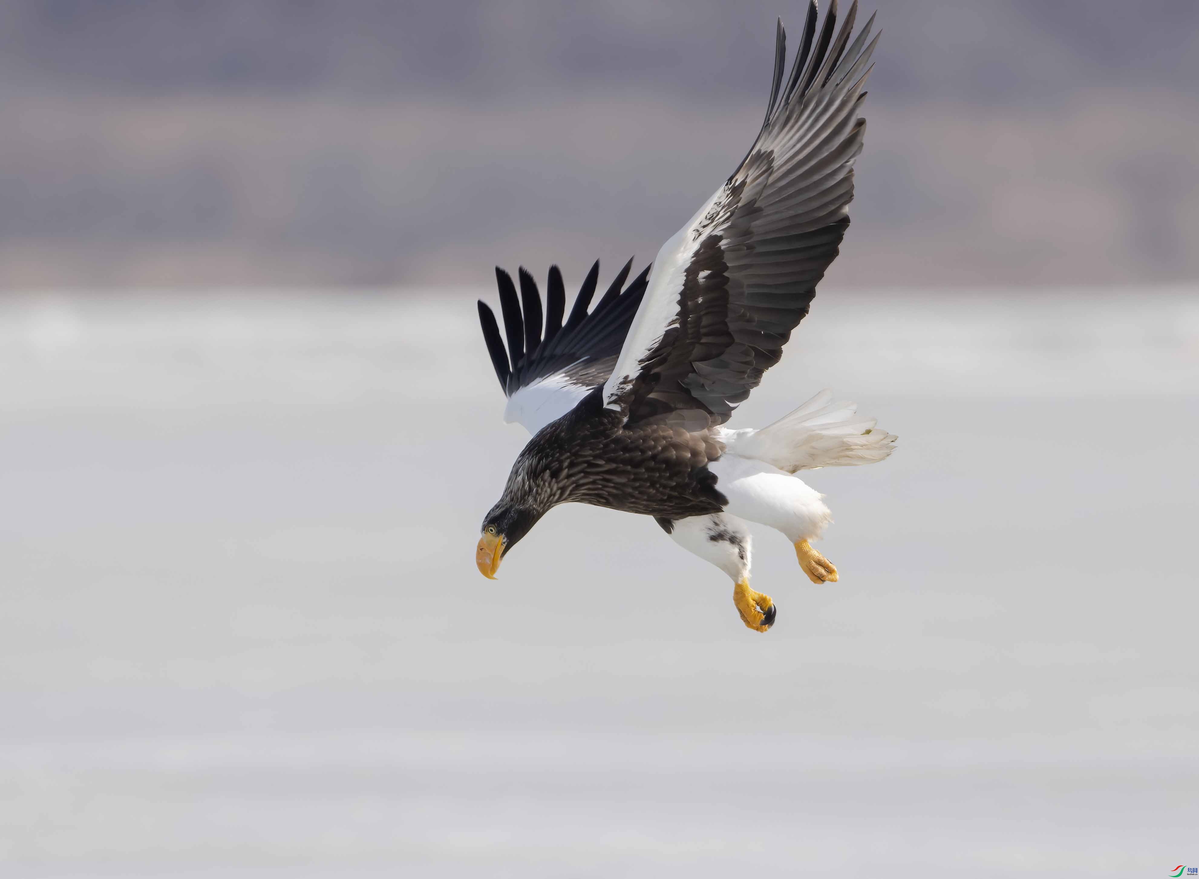 DSC_6141 ���� 2.jpg