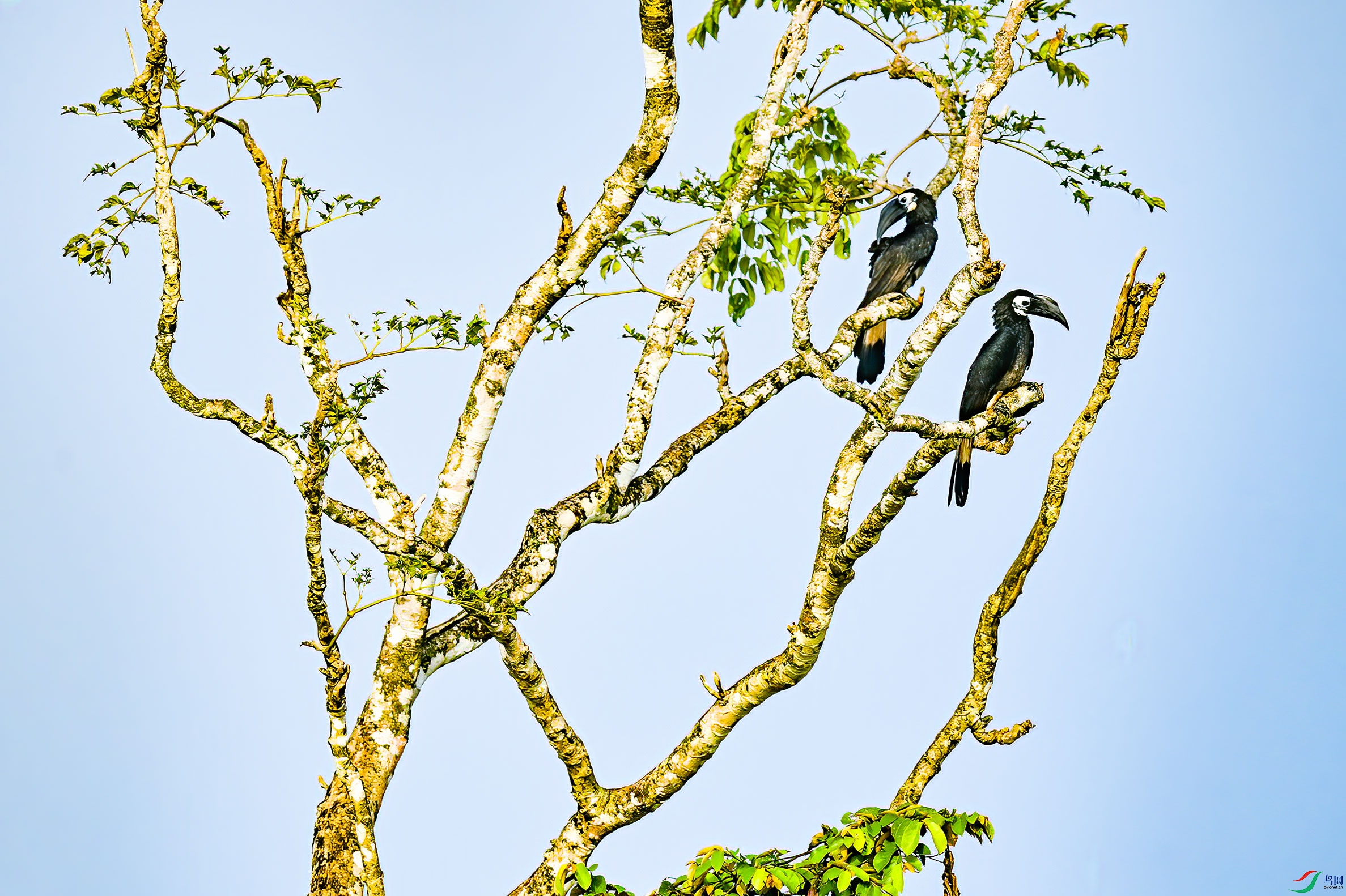 DSC_4764.jpg