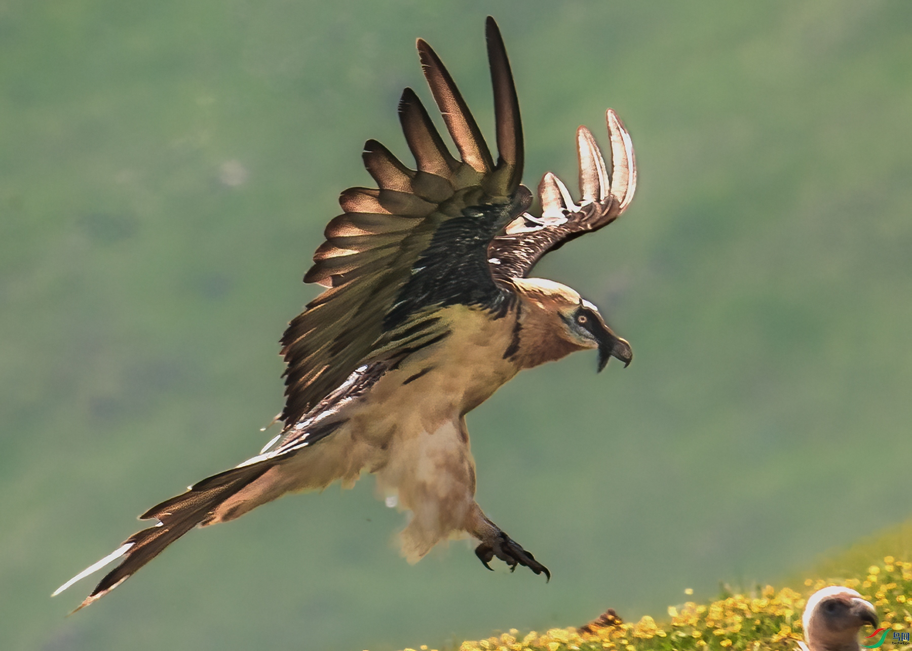 ��أ��_J1R2625.jpg