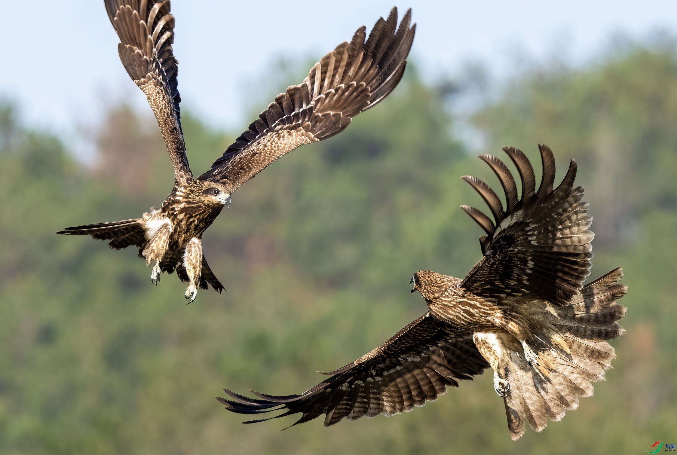 _DSC7281 ����2.jpgx.jpg