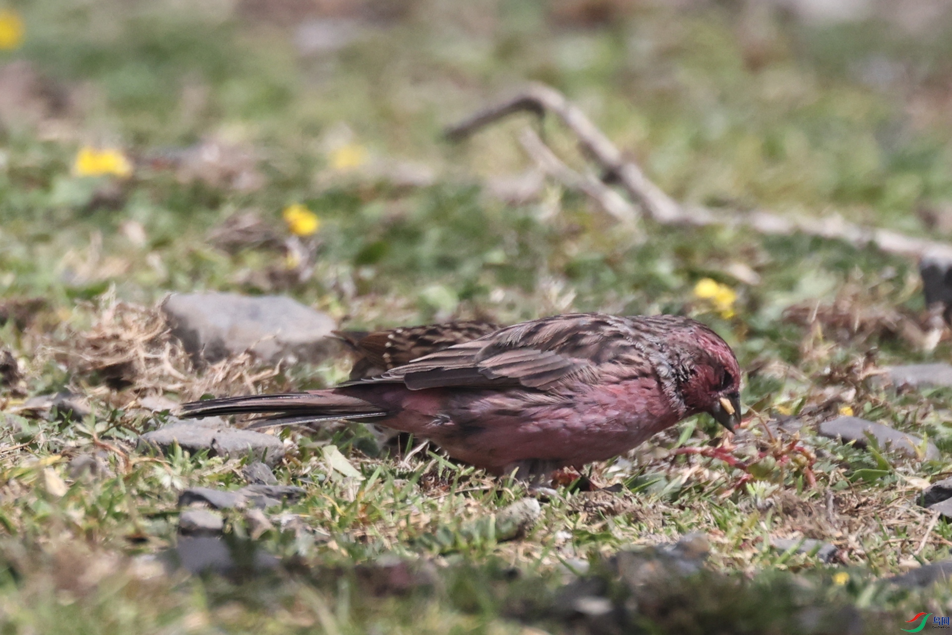 H24E (143)_����.jpg