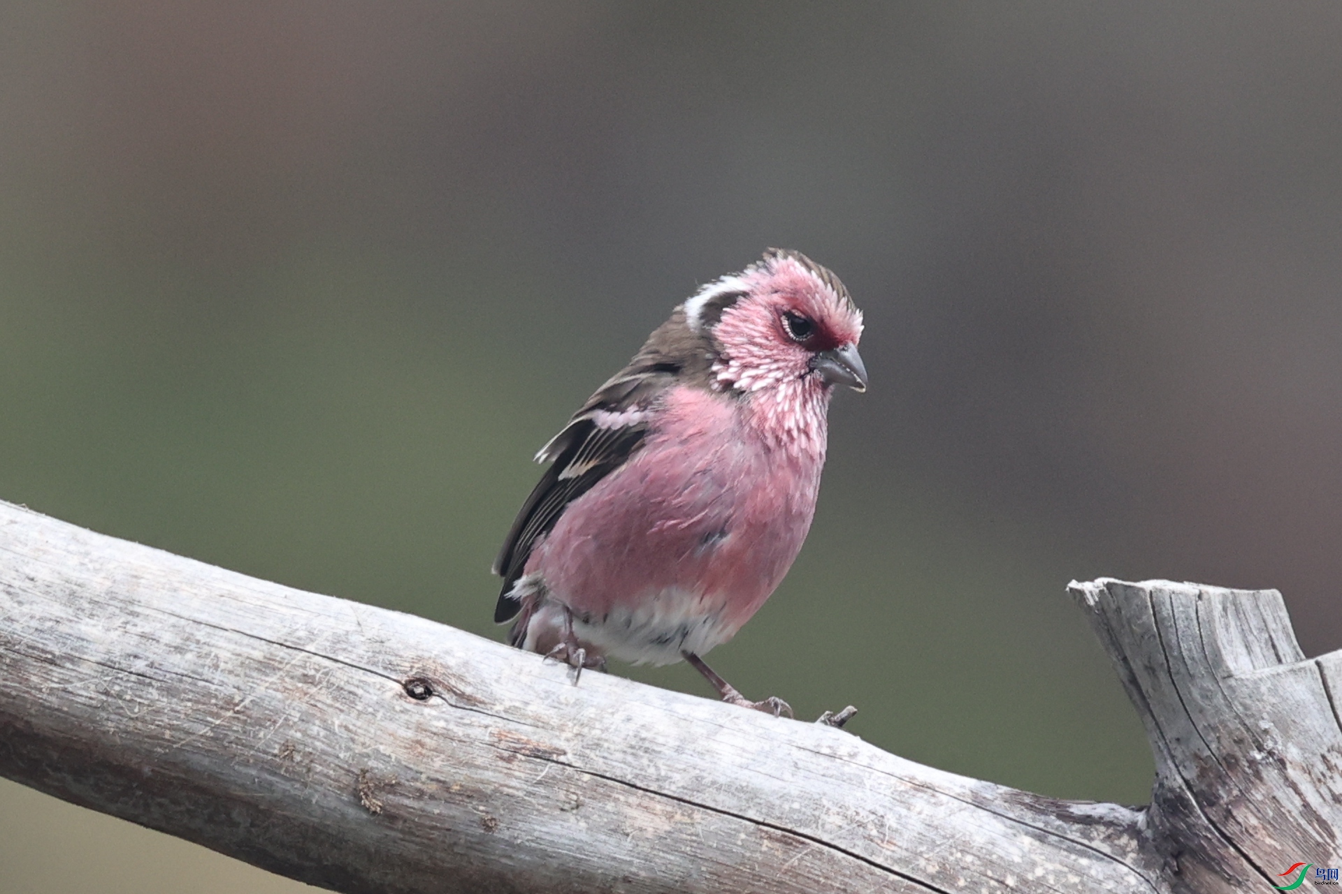 H24E (178)_����.jpg