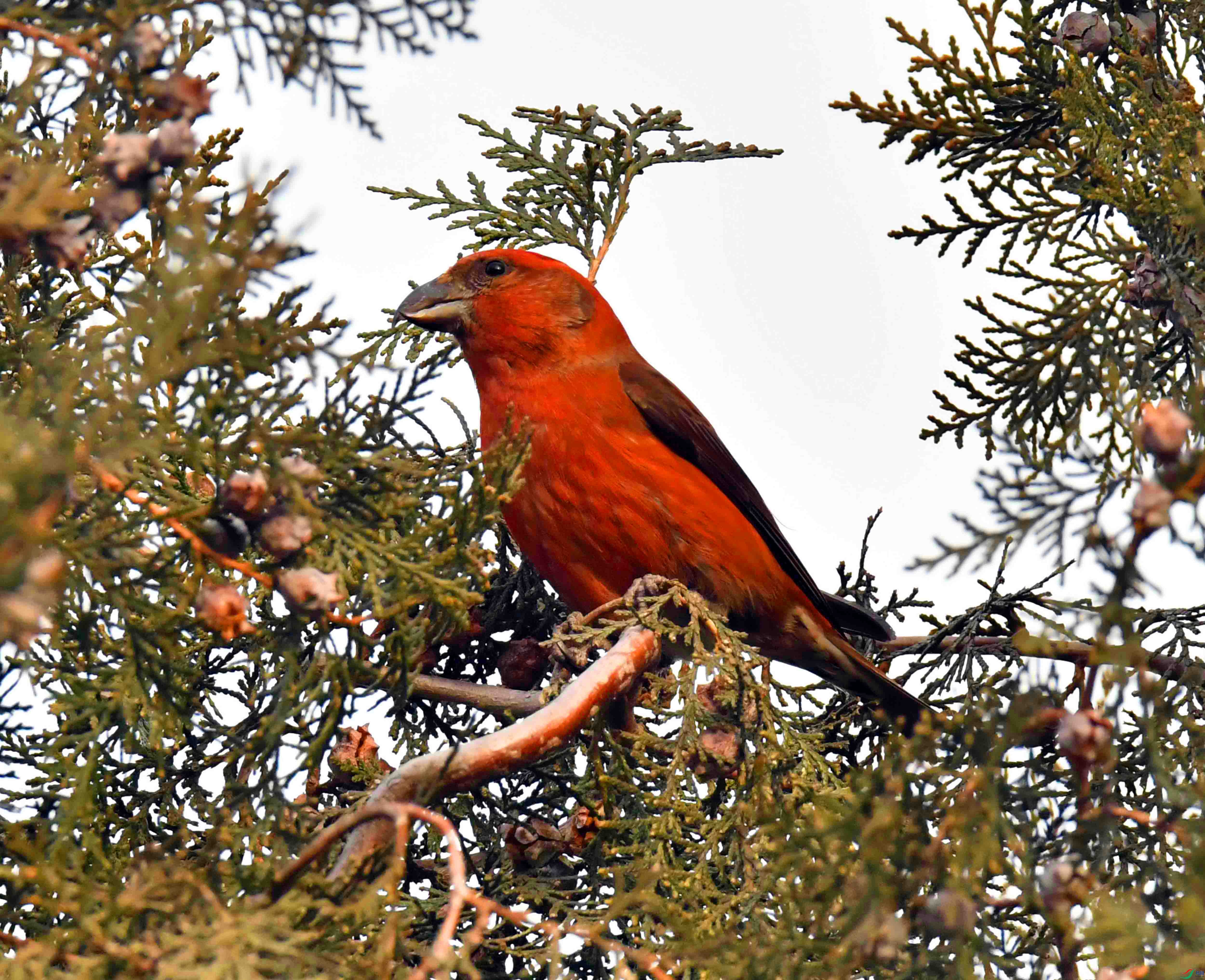 DSC_5063.JPG