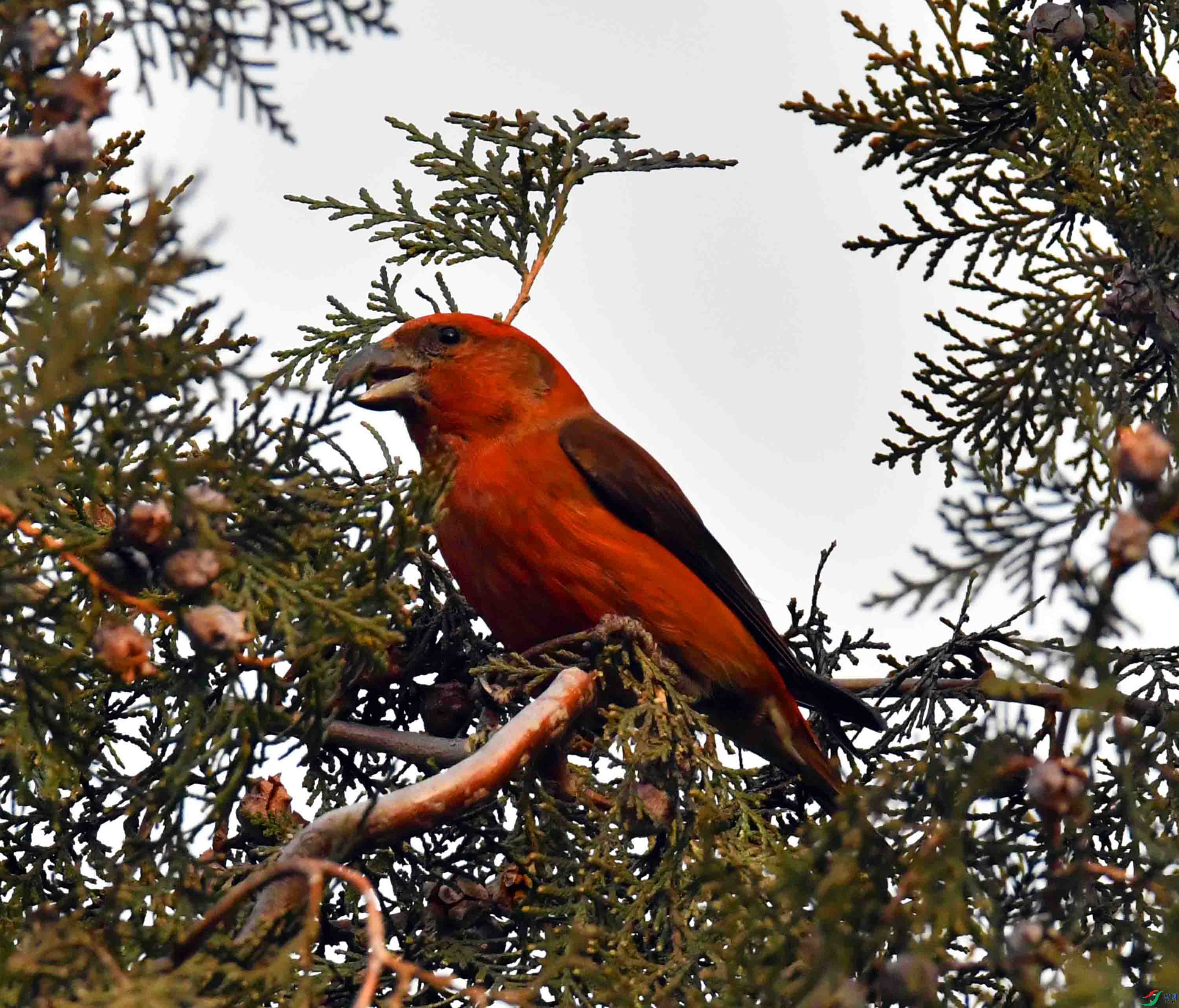 DSC_5058.JPG