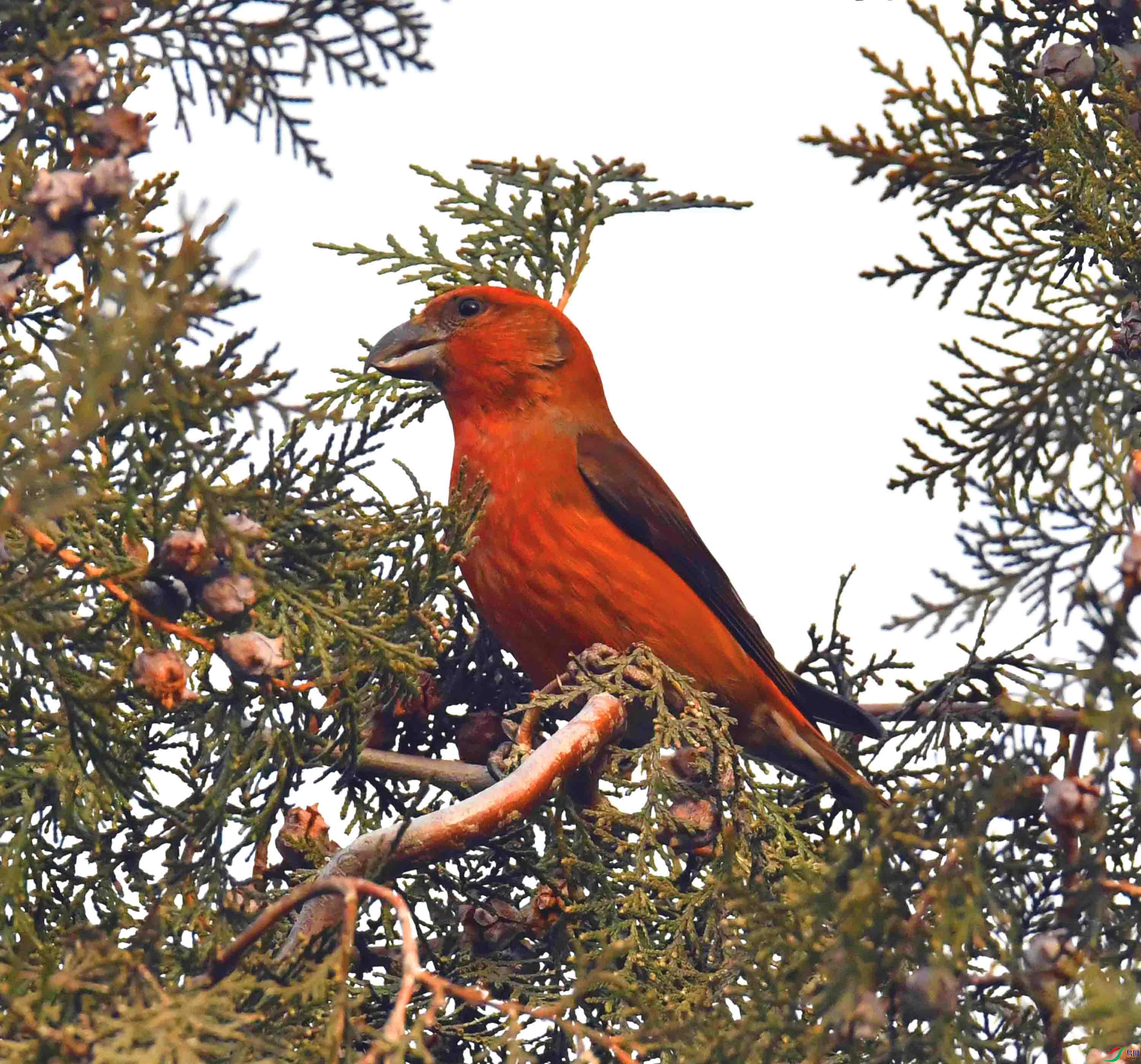 DSC_5082.JPG