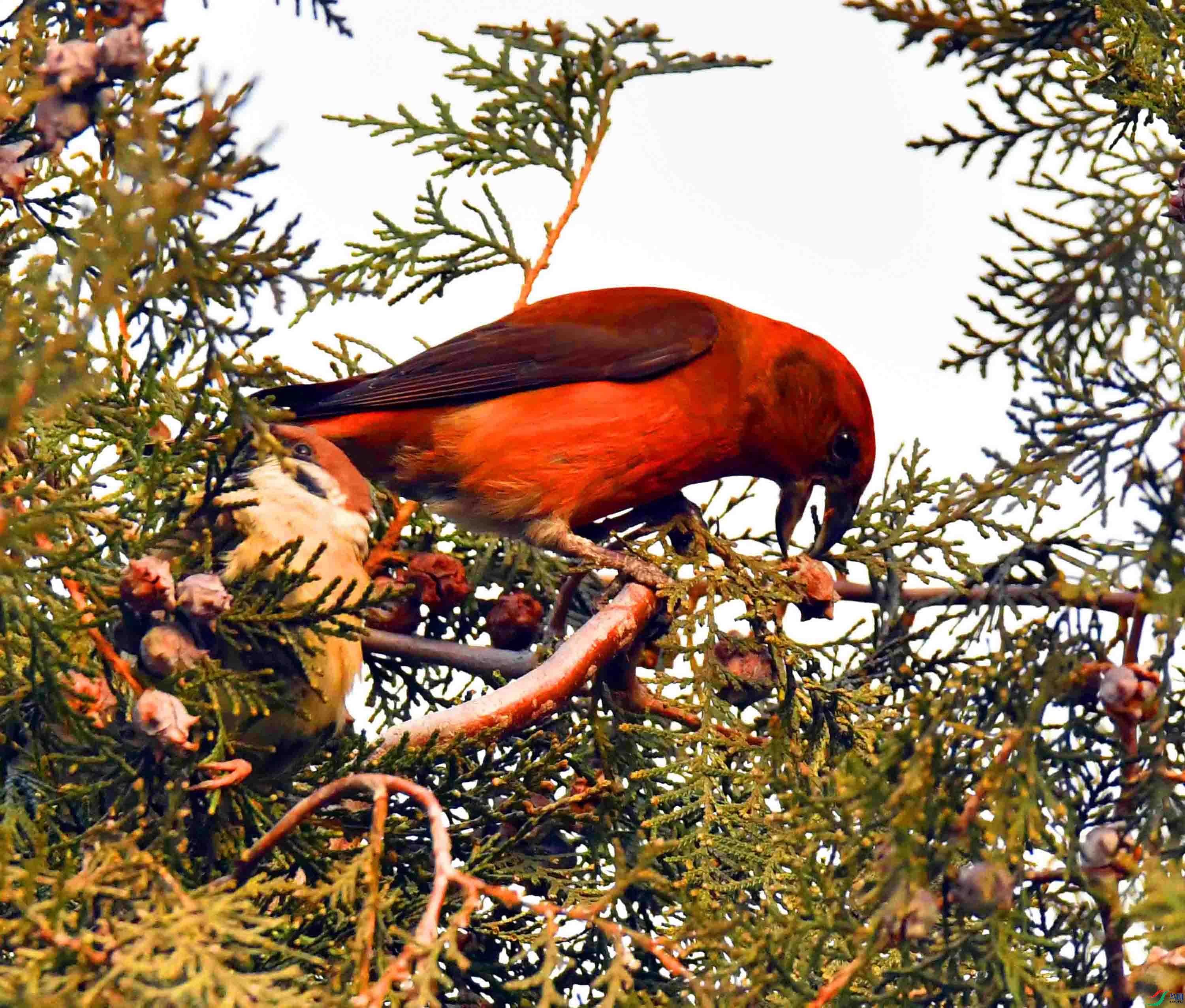 DSC_5119.JPG