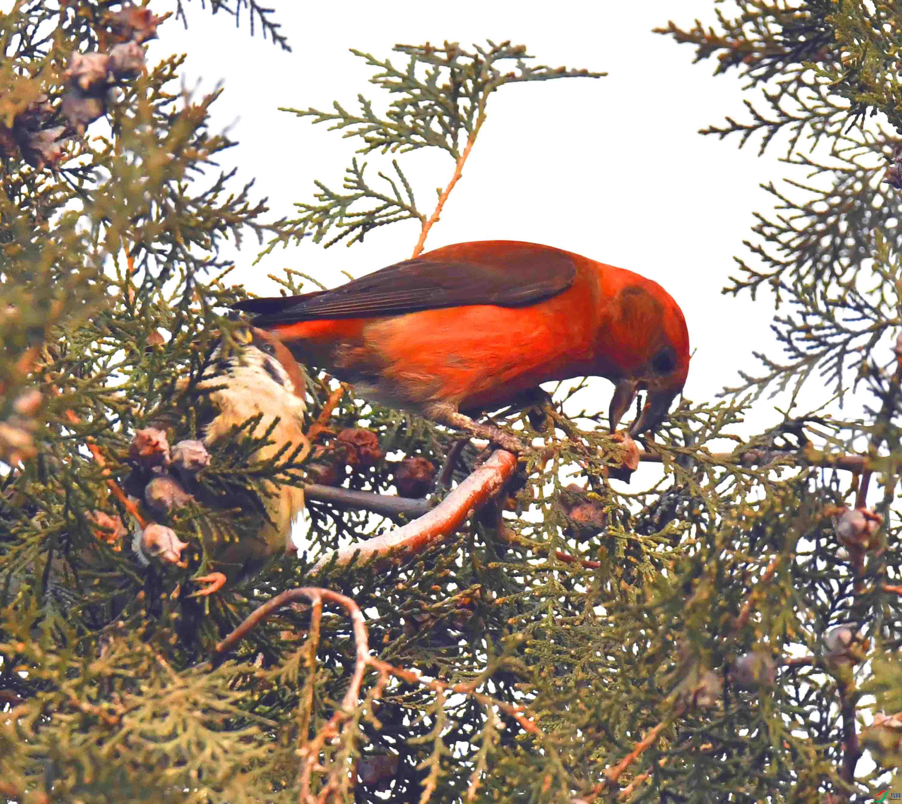 DSC_5118.JPG