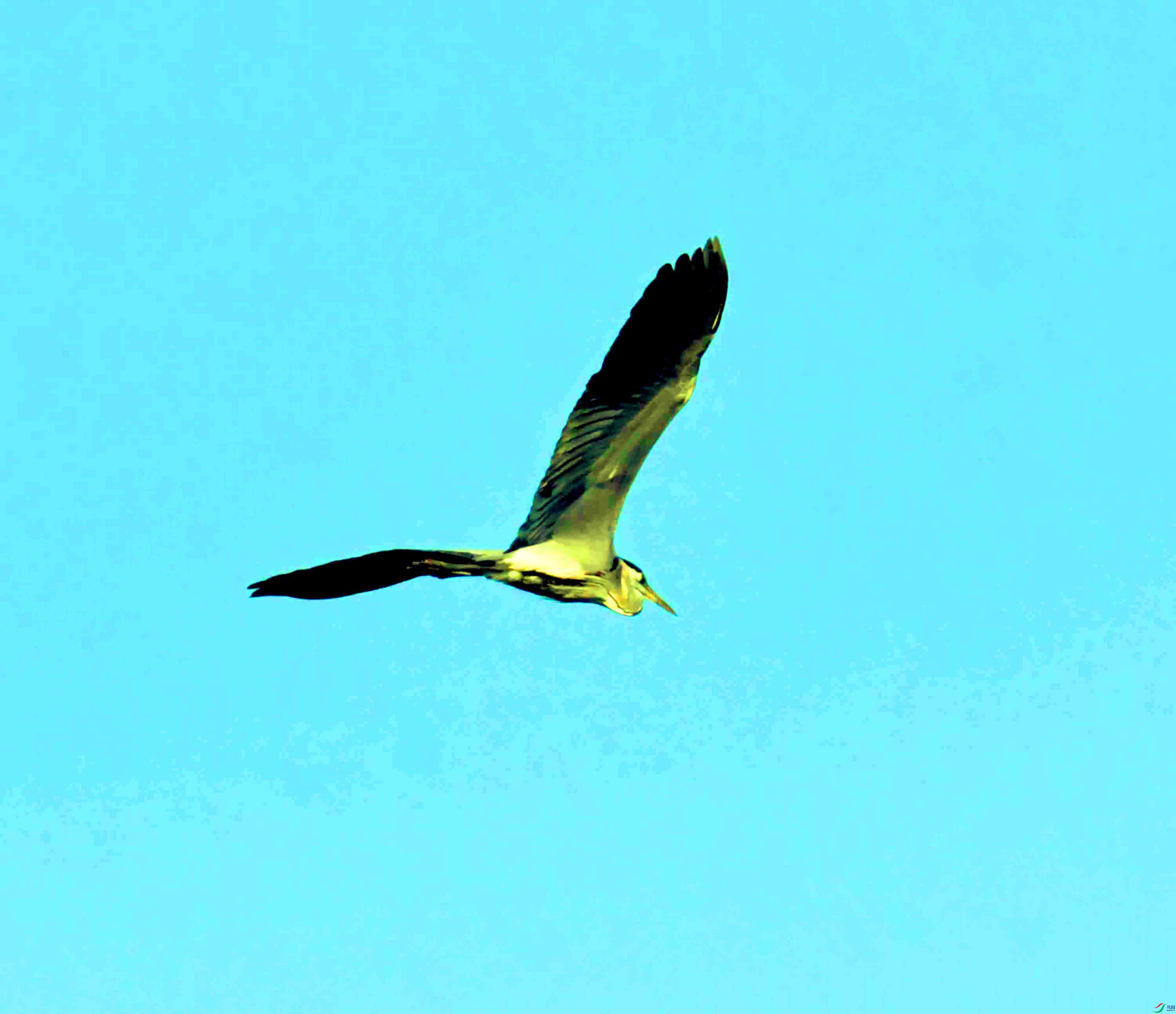 DSC_1931.JPG