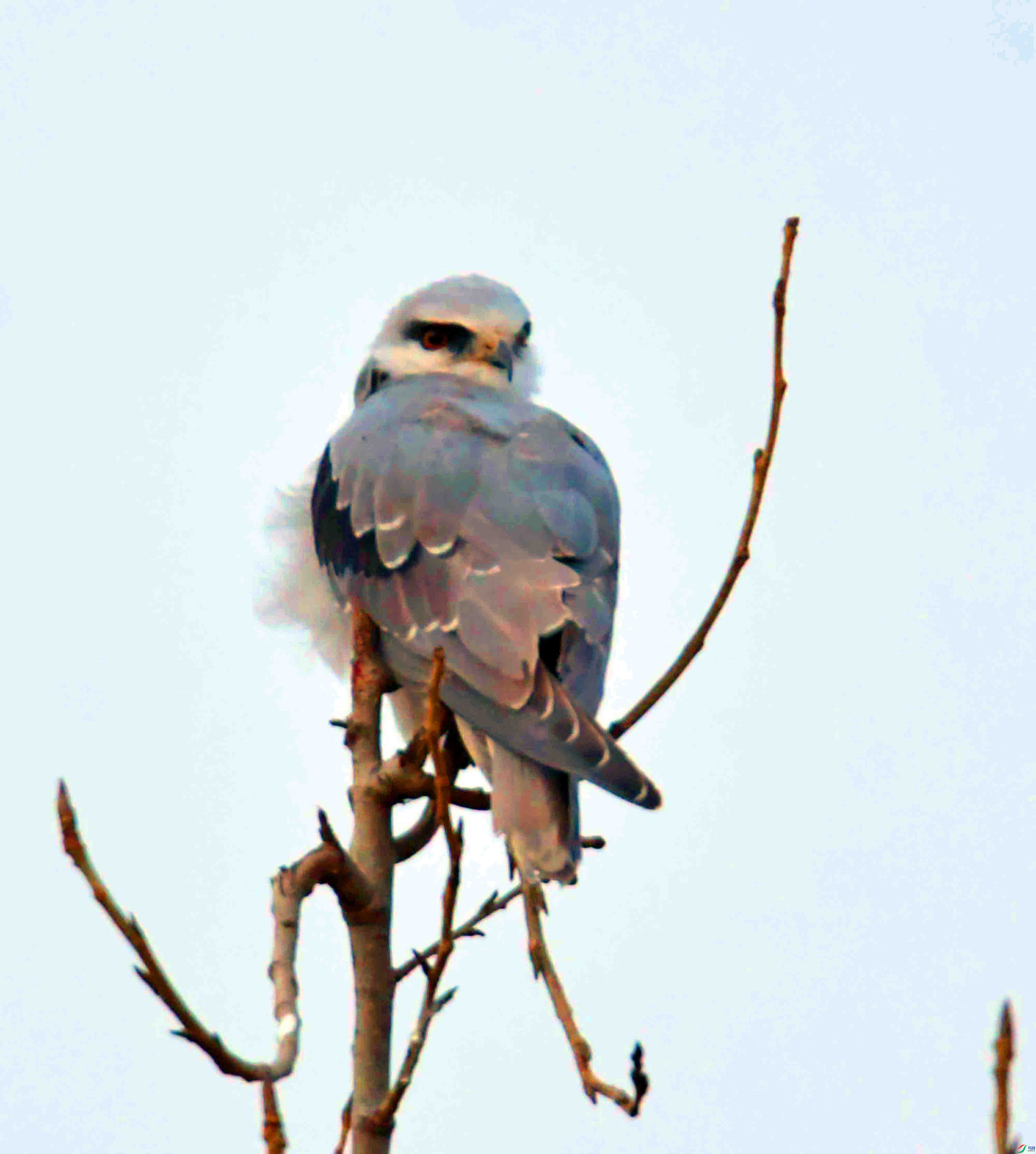 DSC_4452.JPG