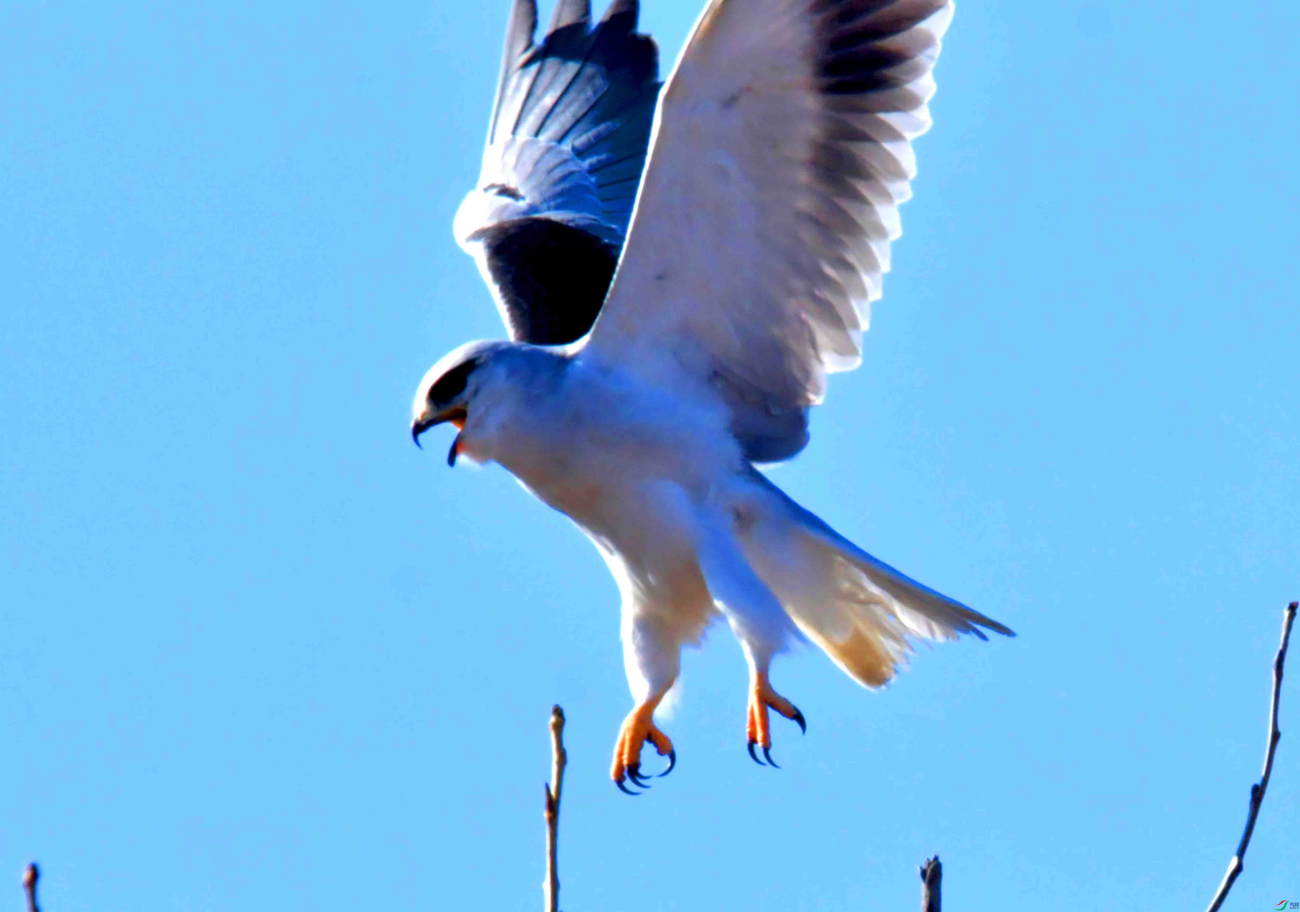 DSC_4444.JPG