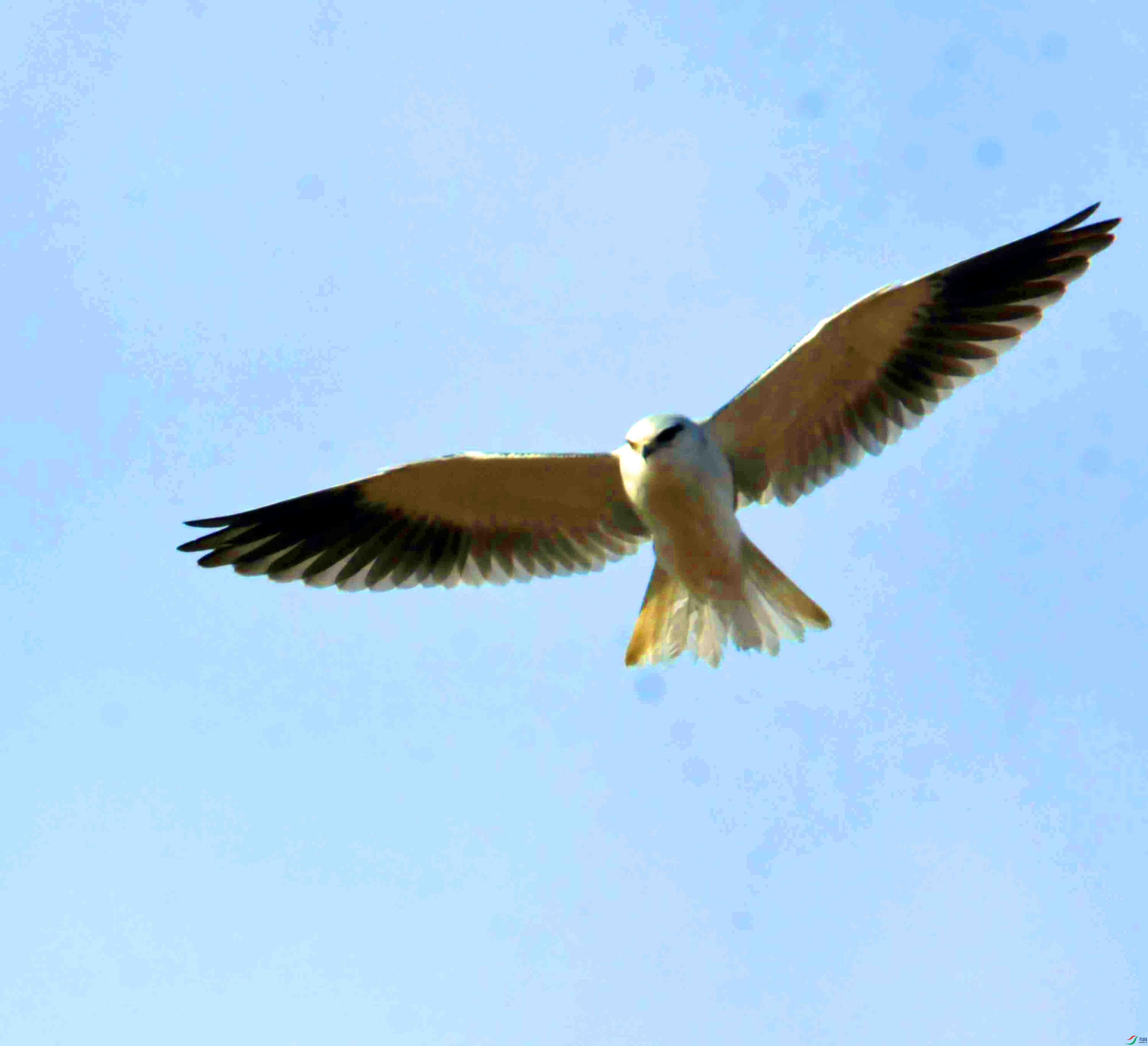 DSC_4578.JPG