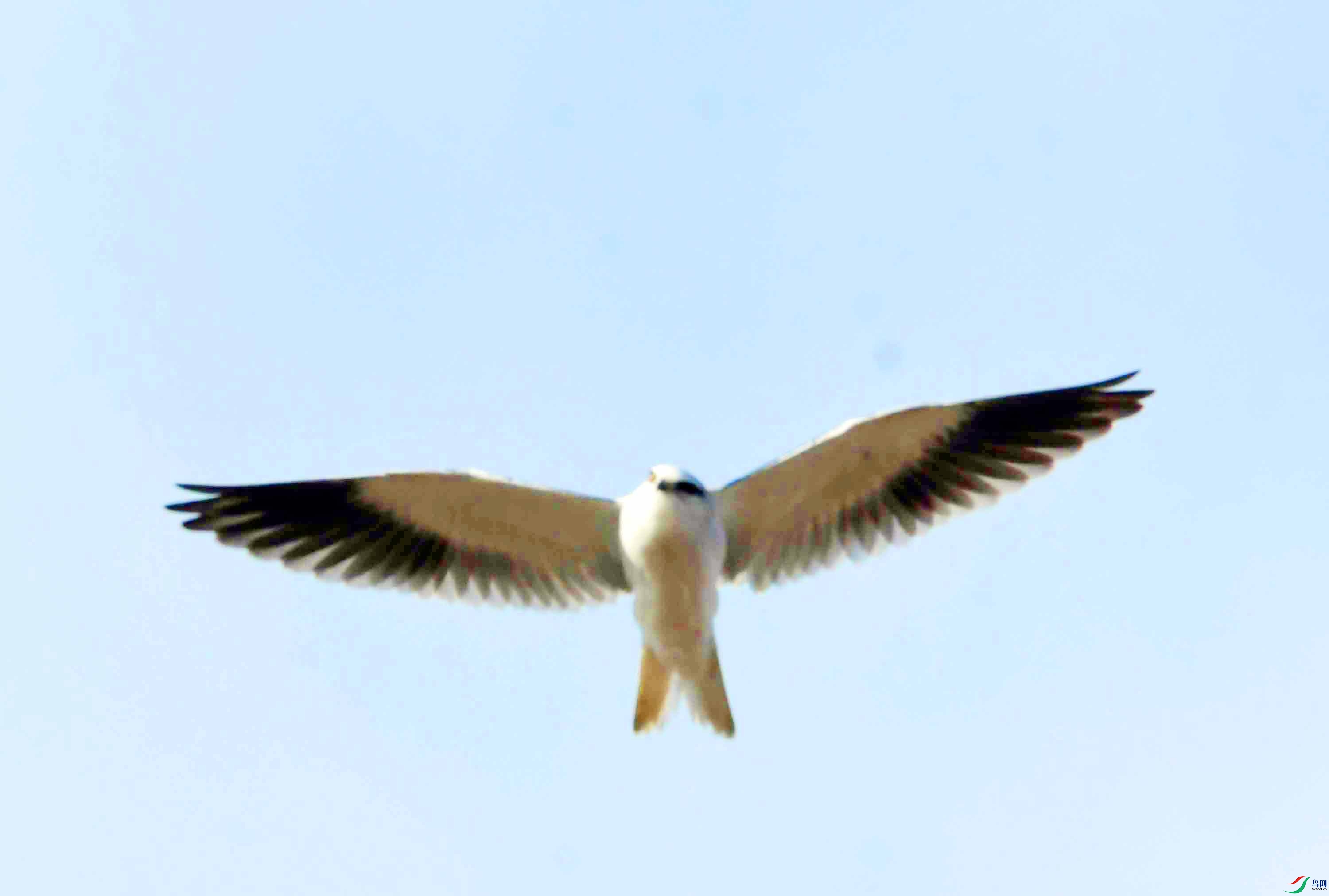 DSC_4577.JPG