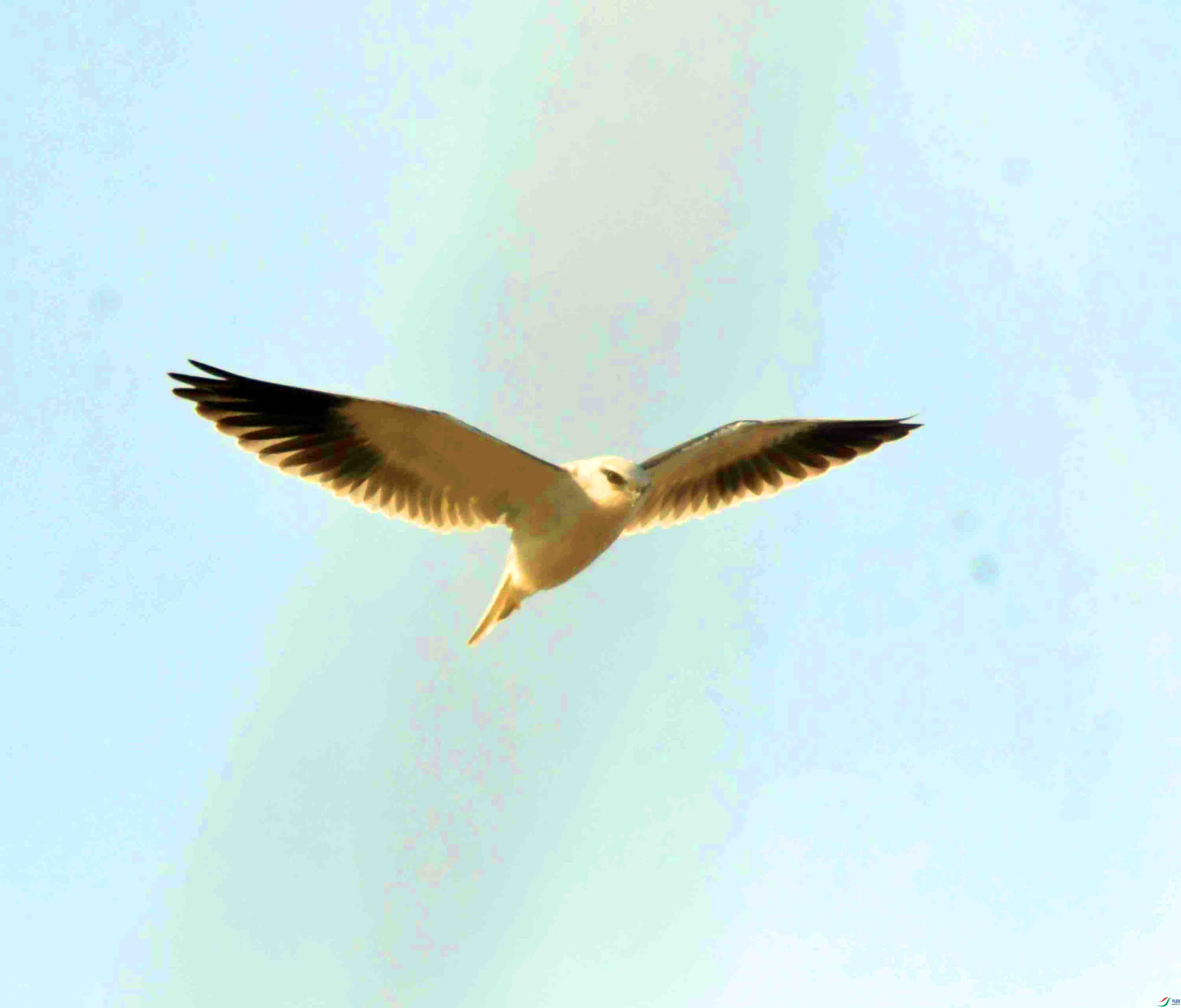 DSC_4575.JPG