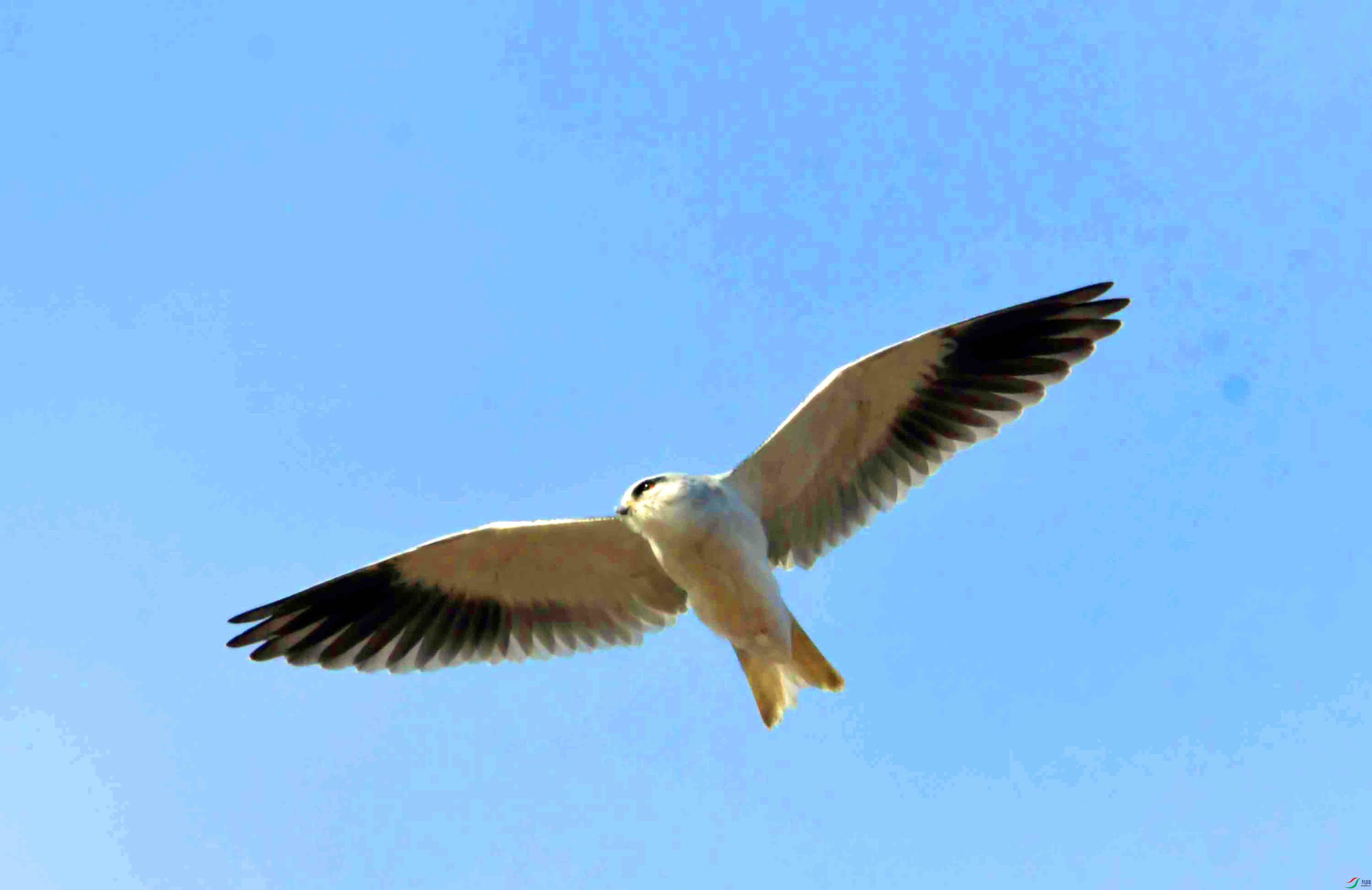 DSC_4598.JPG
