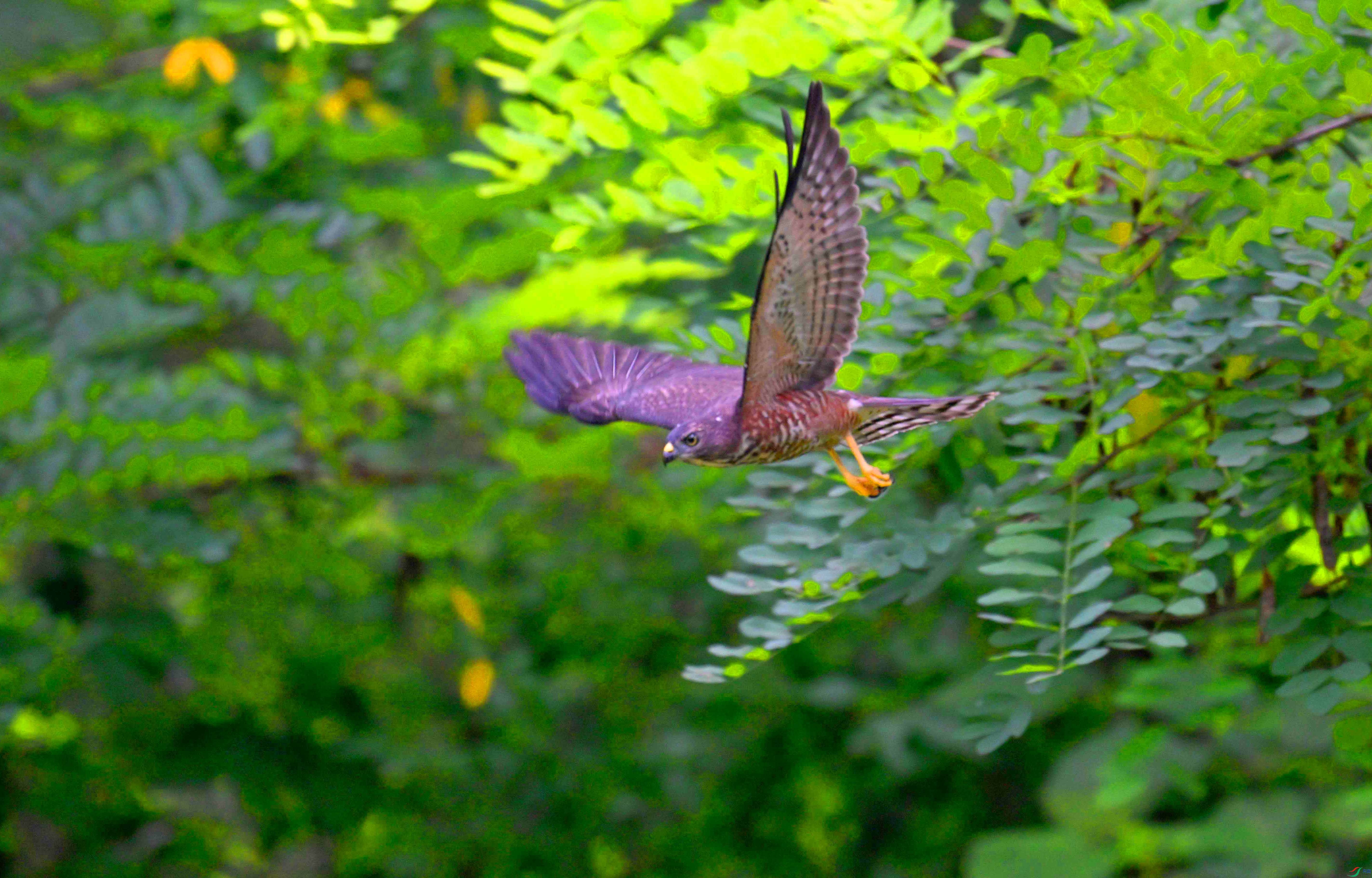 DSC_4132 ���� 2.jpg