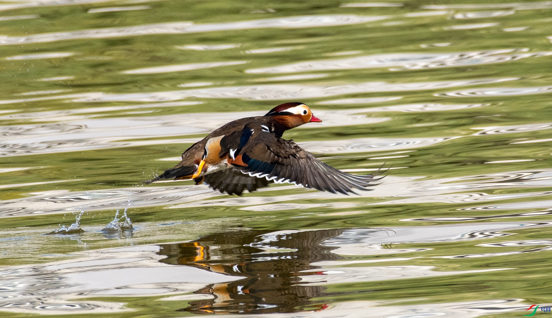 DSC_5040.jpg