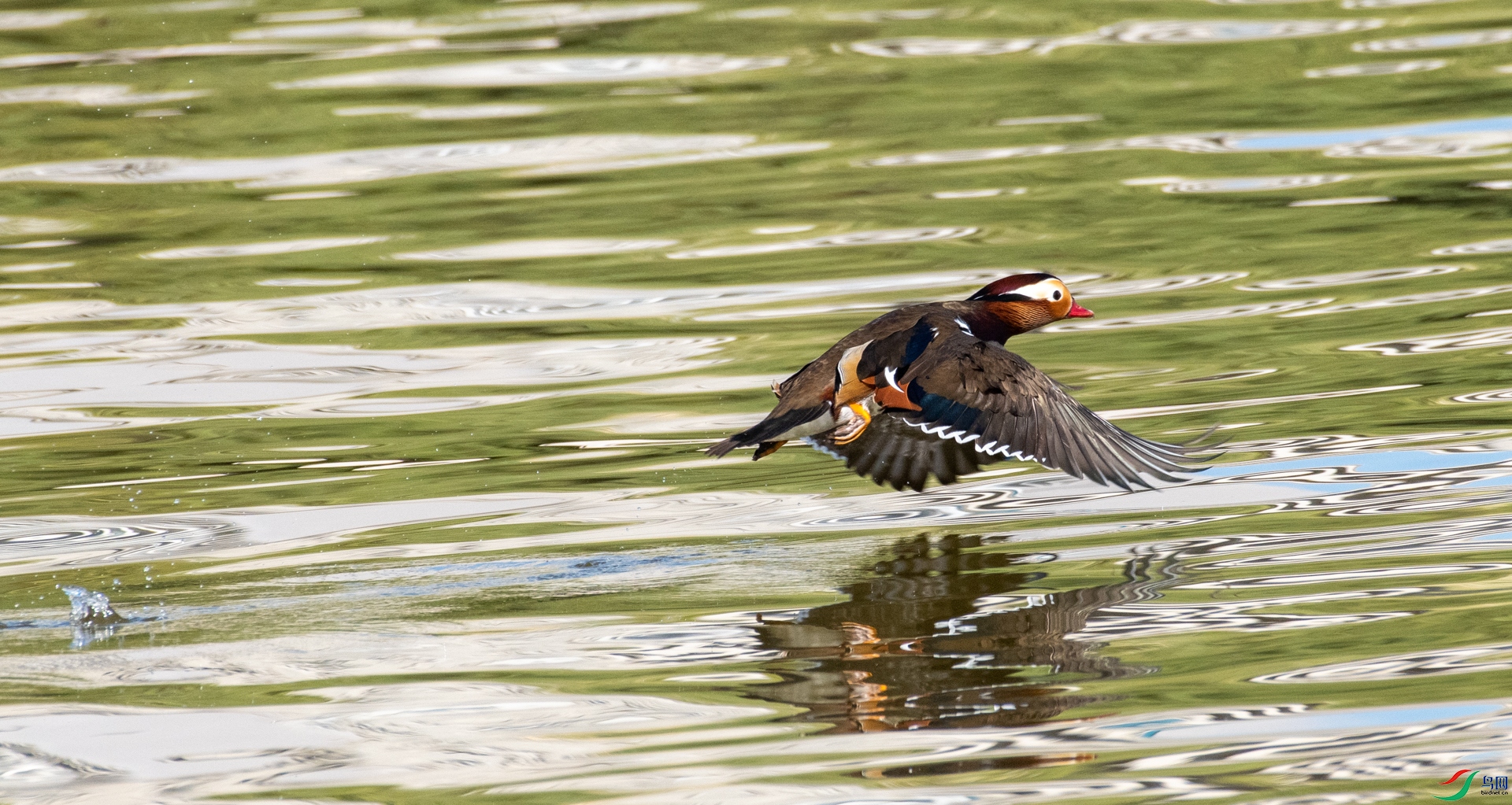 DSC_5041.jpg