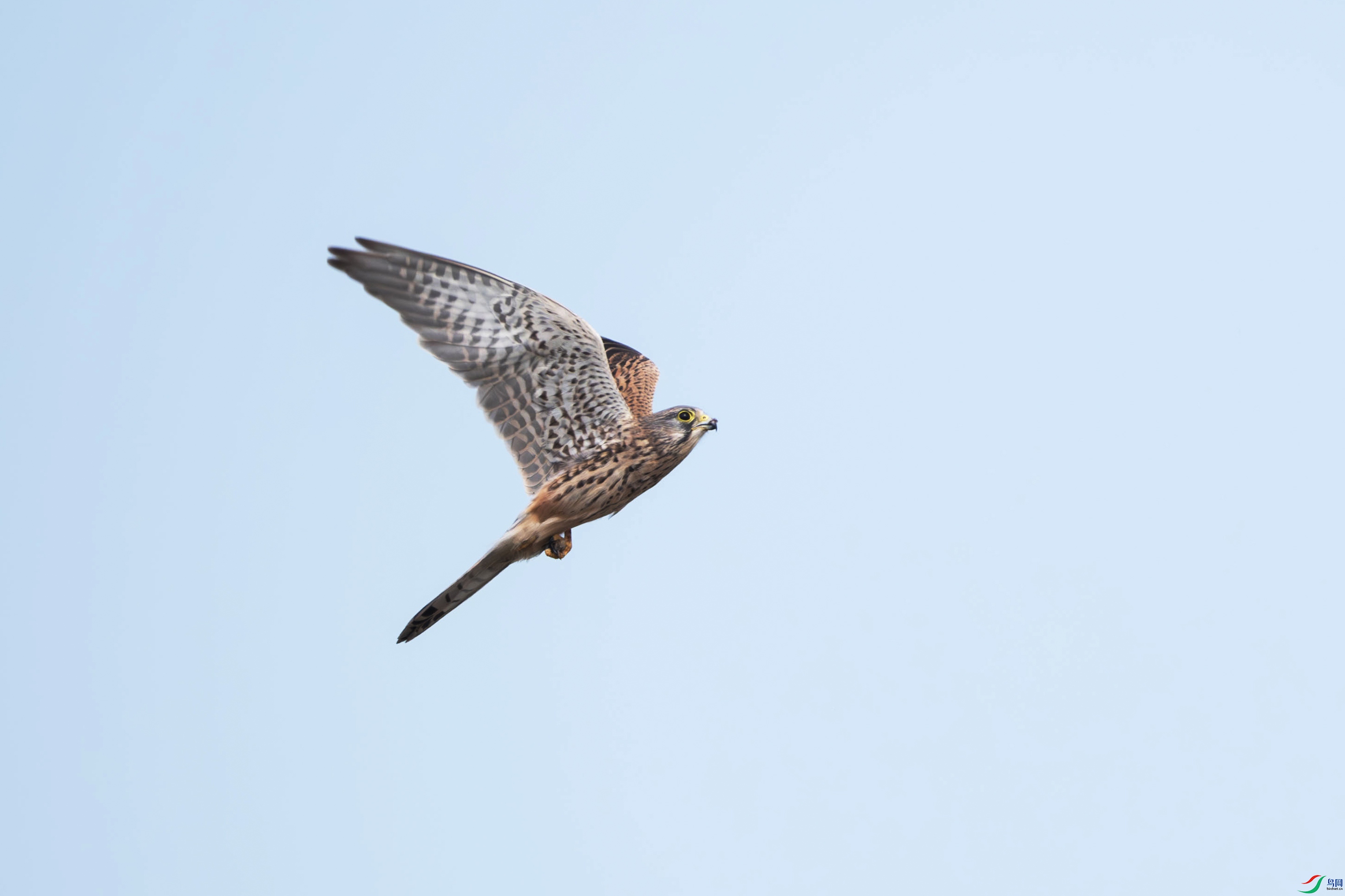 DSC_4561.jpg