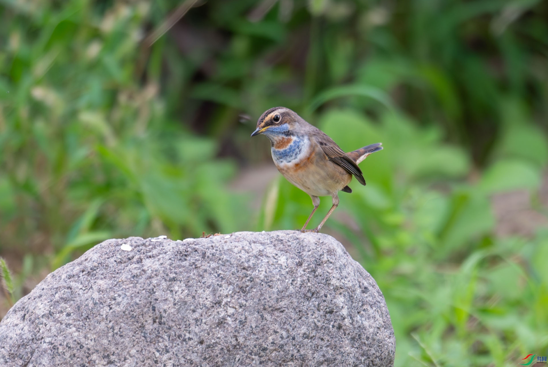 DSC_3035-.jpg