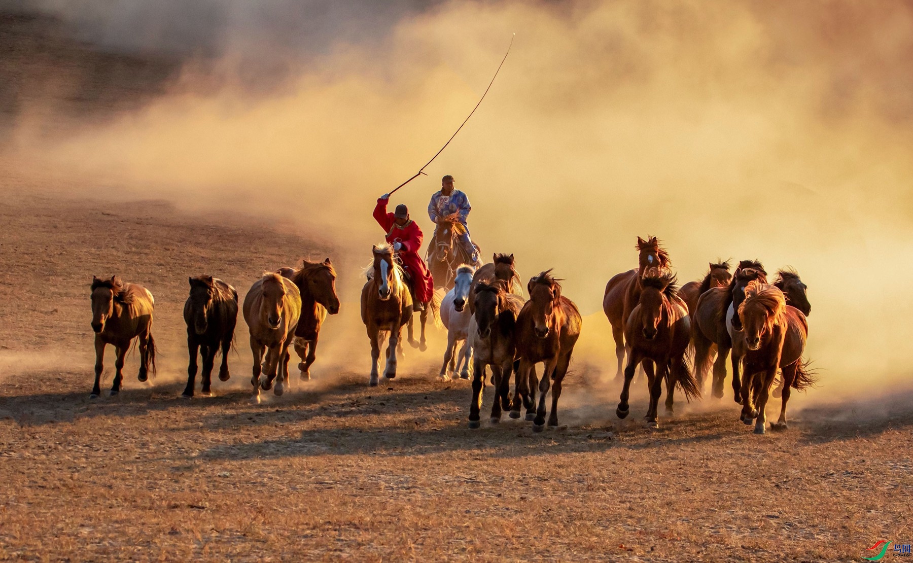 259A8171 ����_����.jpg