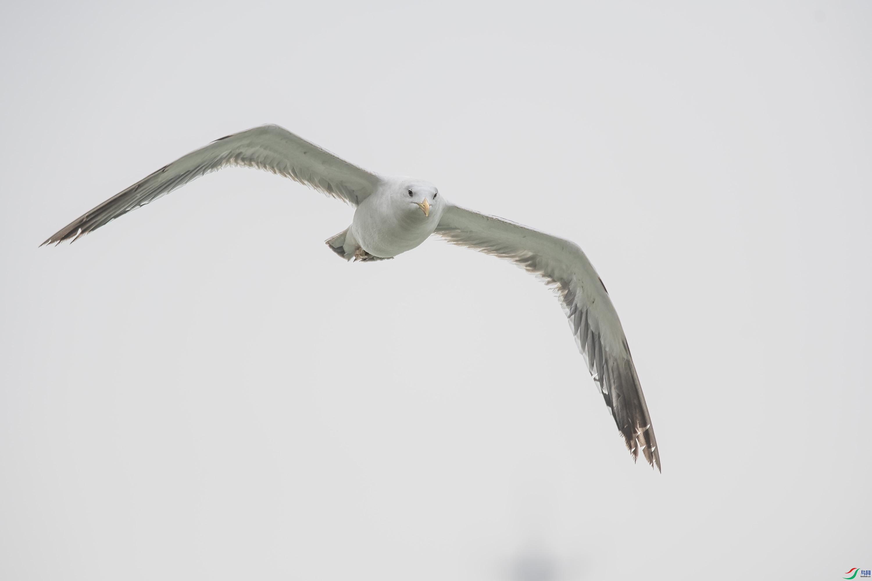 DSC_7159.jpg