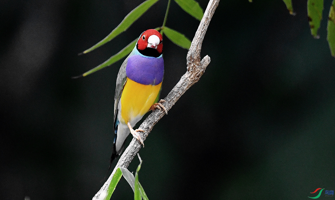 �߲����� 9.12.JPG