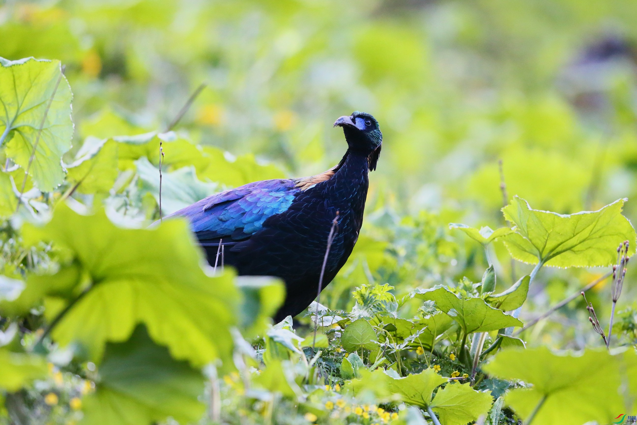 ��β���� (23).JPG