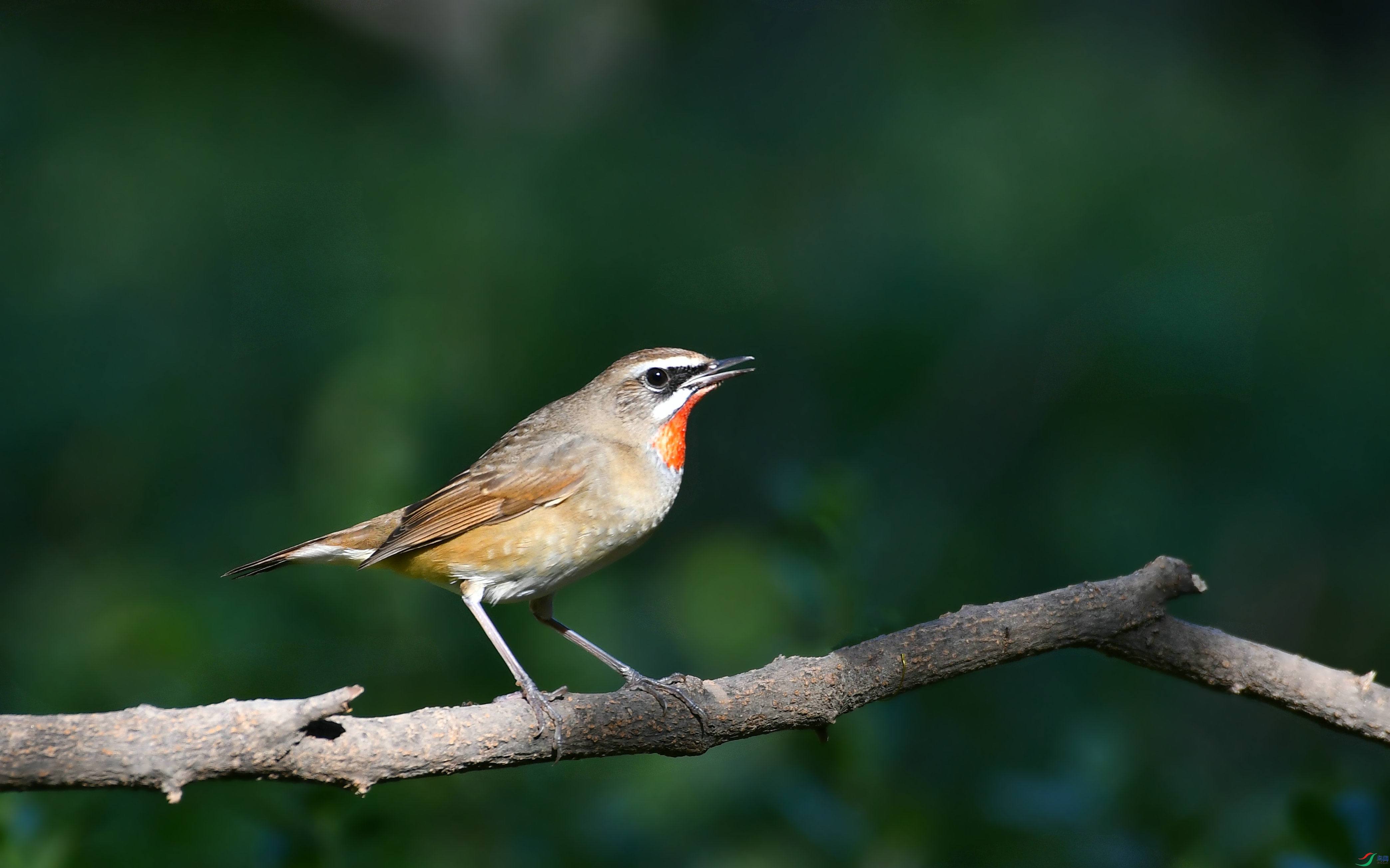 DSC_5053.JPG
