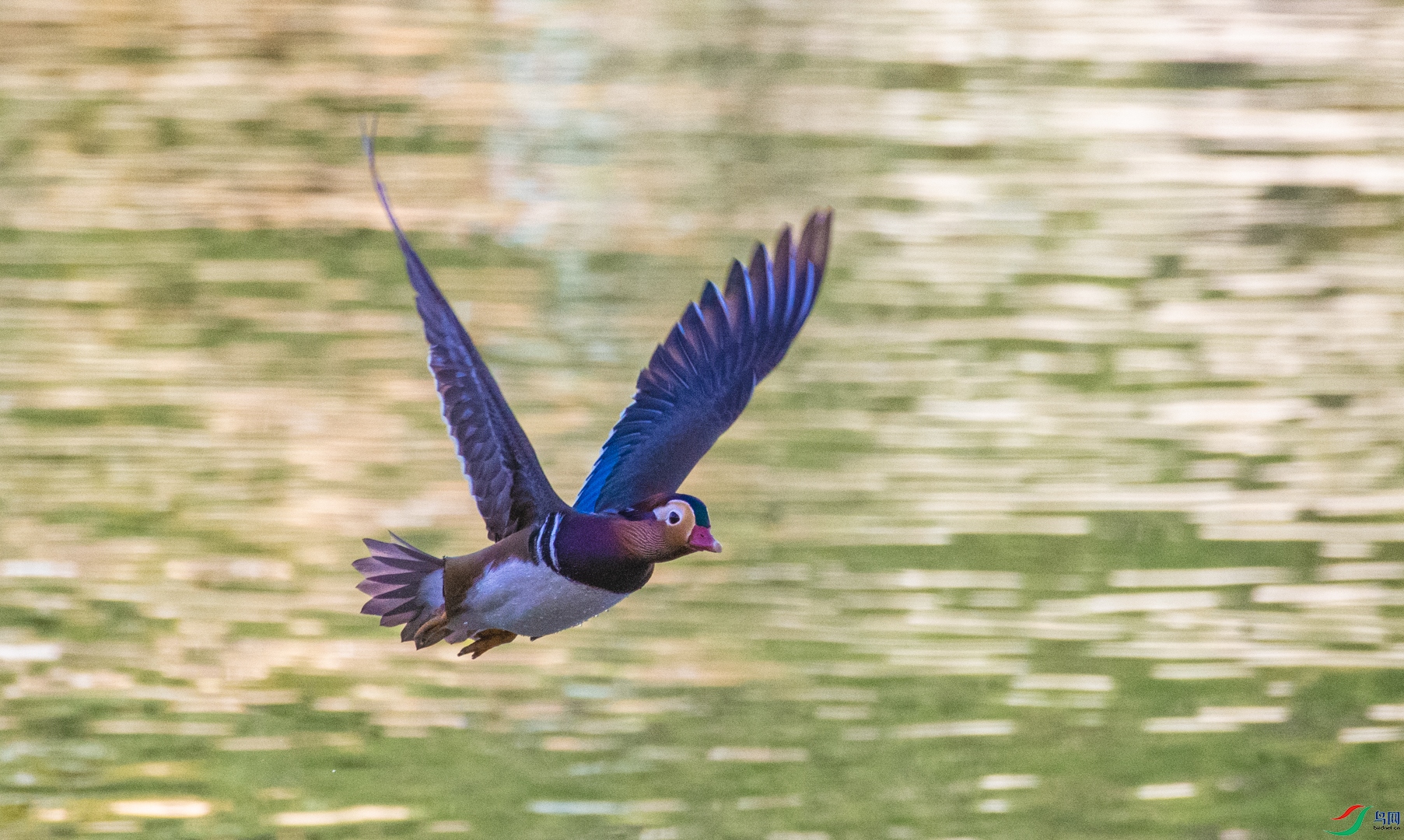 DSC_5068.jpg