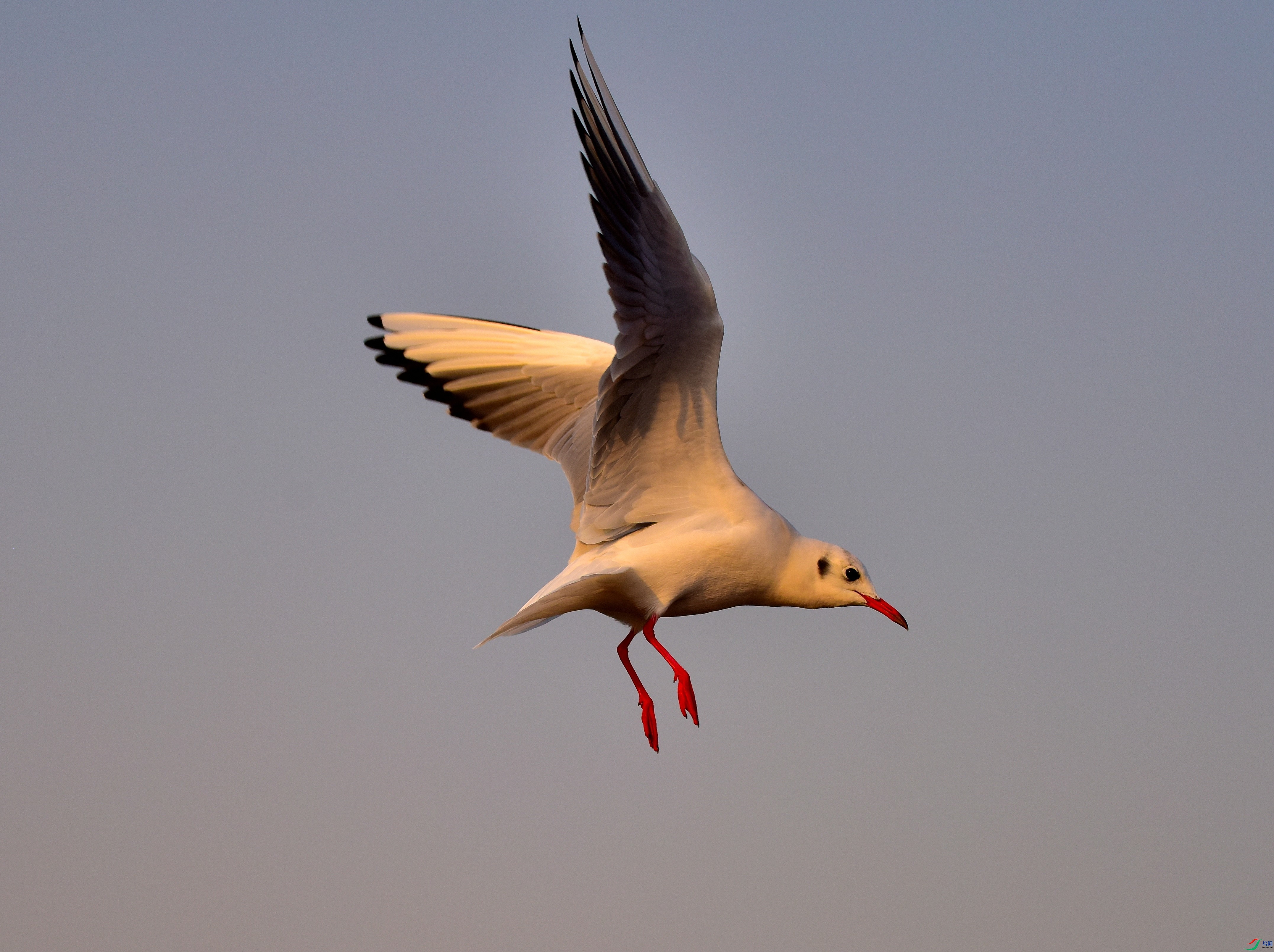 DSC_7319-12-26.JPG
