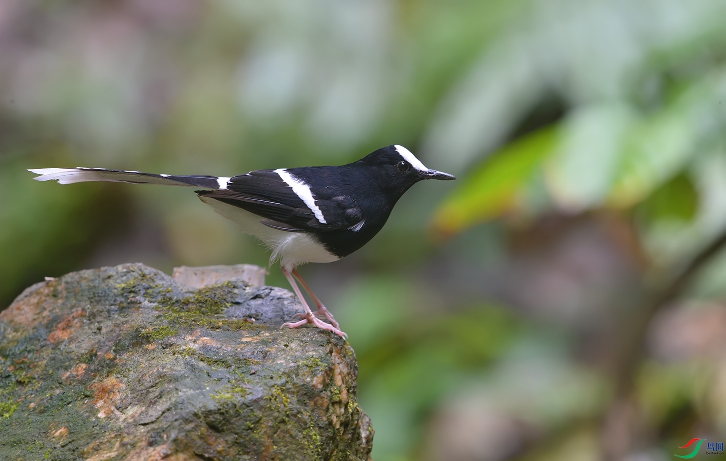DSC_71741.jpg