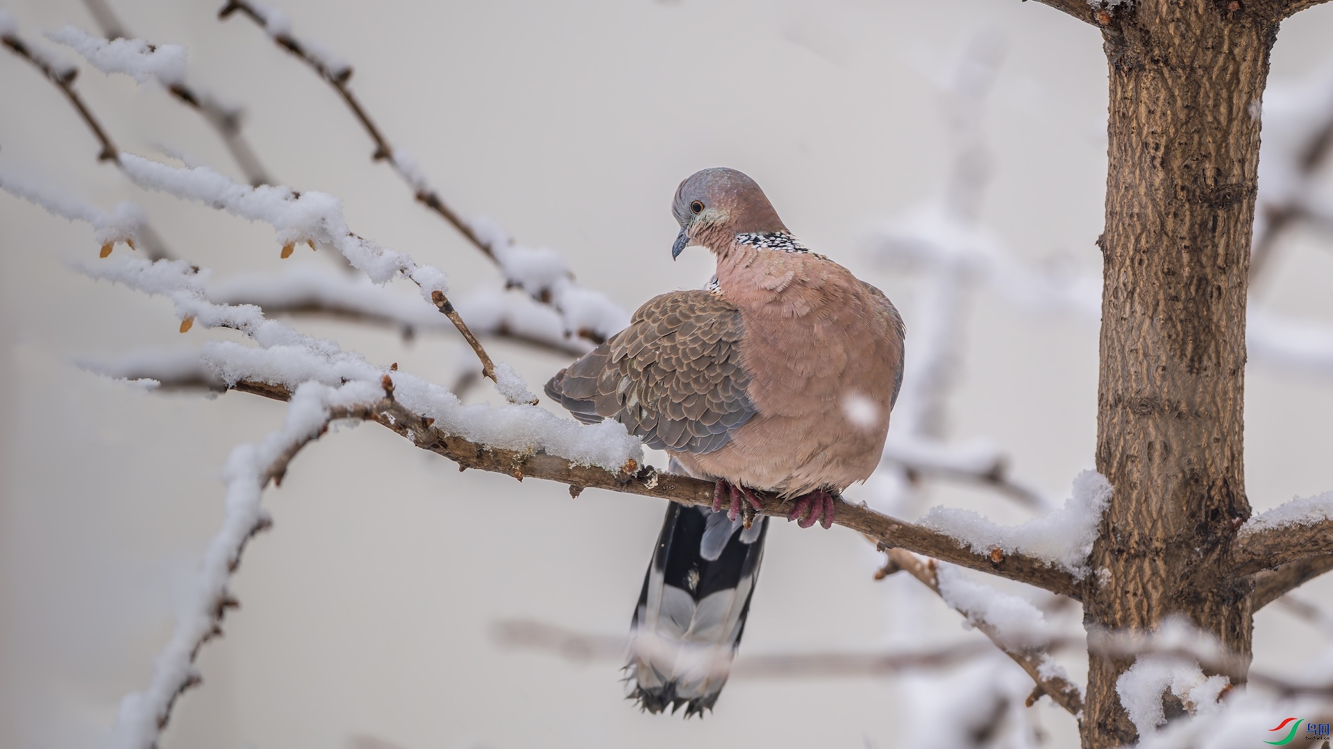 1_1DSC9346-����ǿ-NR ����.jpg2.jpeg