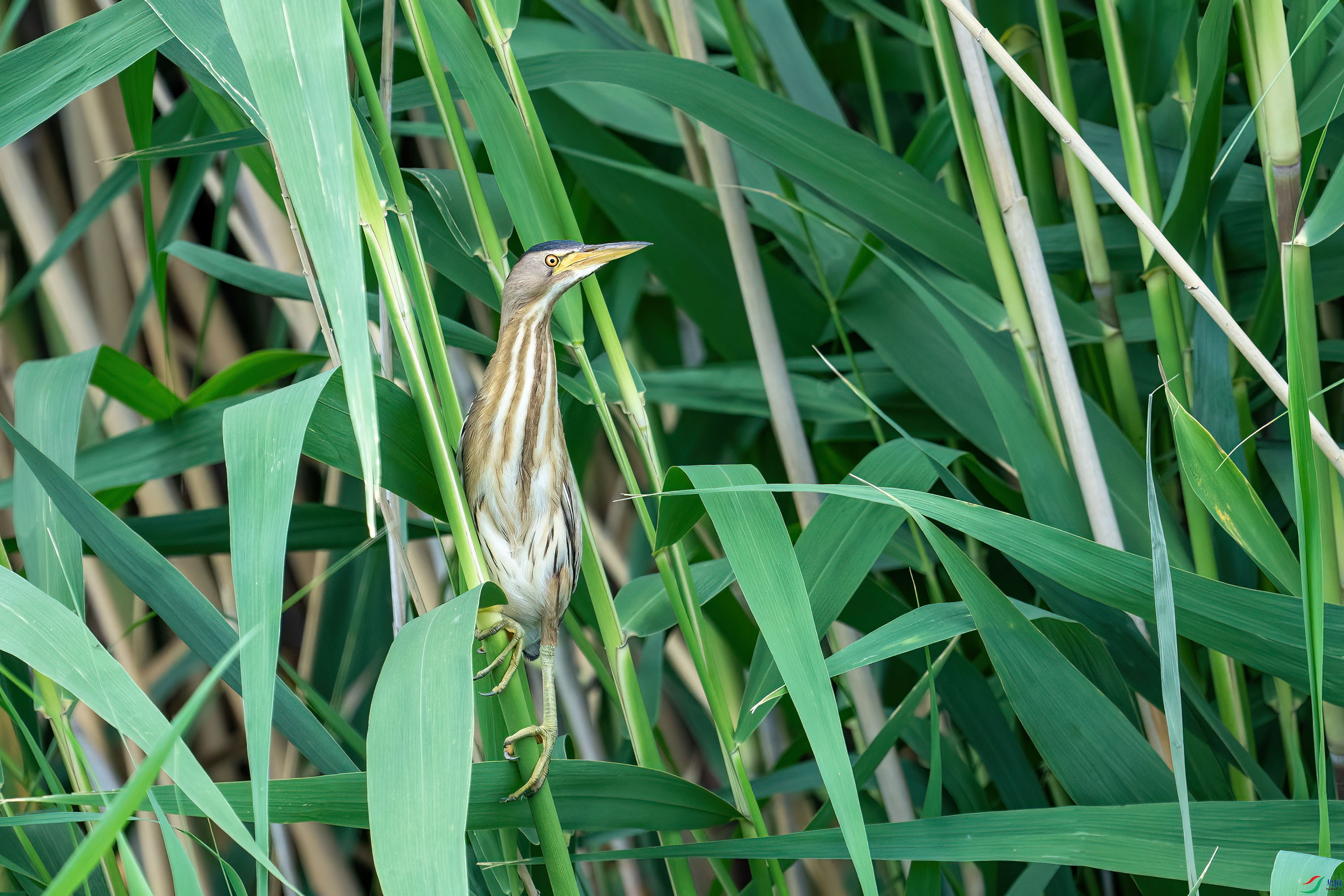 _DSC8794 ���� 2.jpg